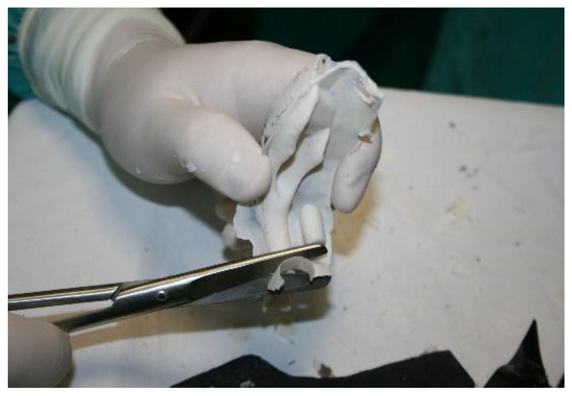 Preprints 160545 g011