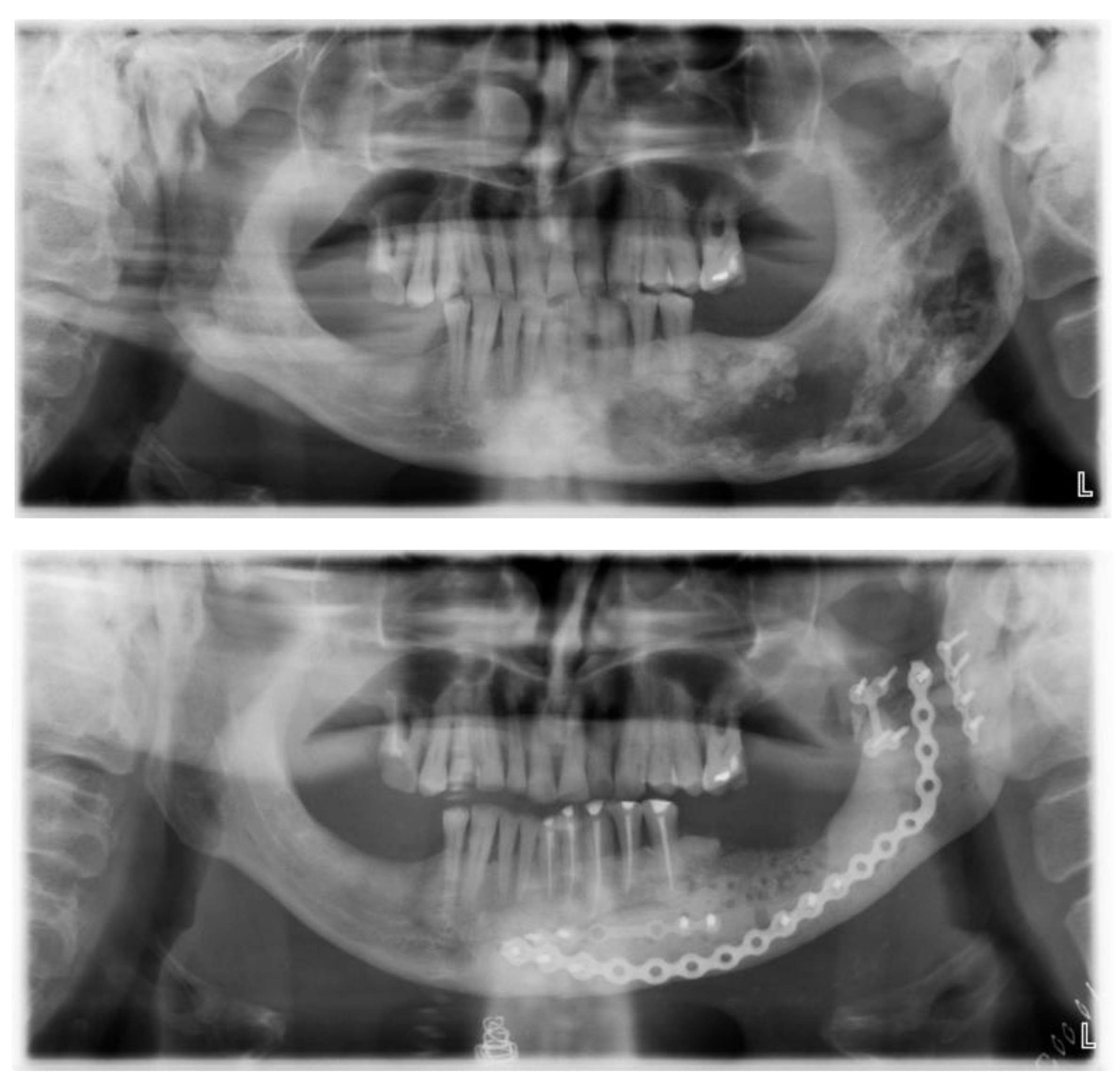 Preprints 160545 g016