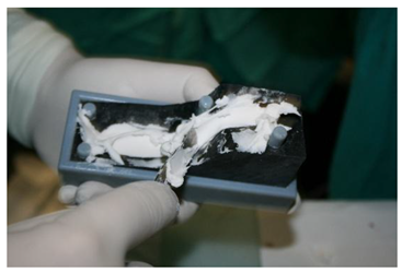 Preprints 160545 i006