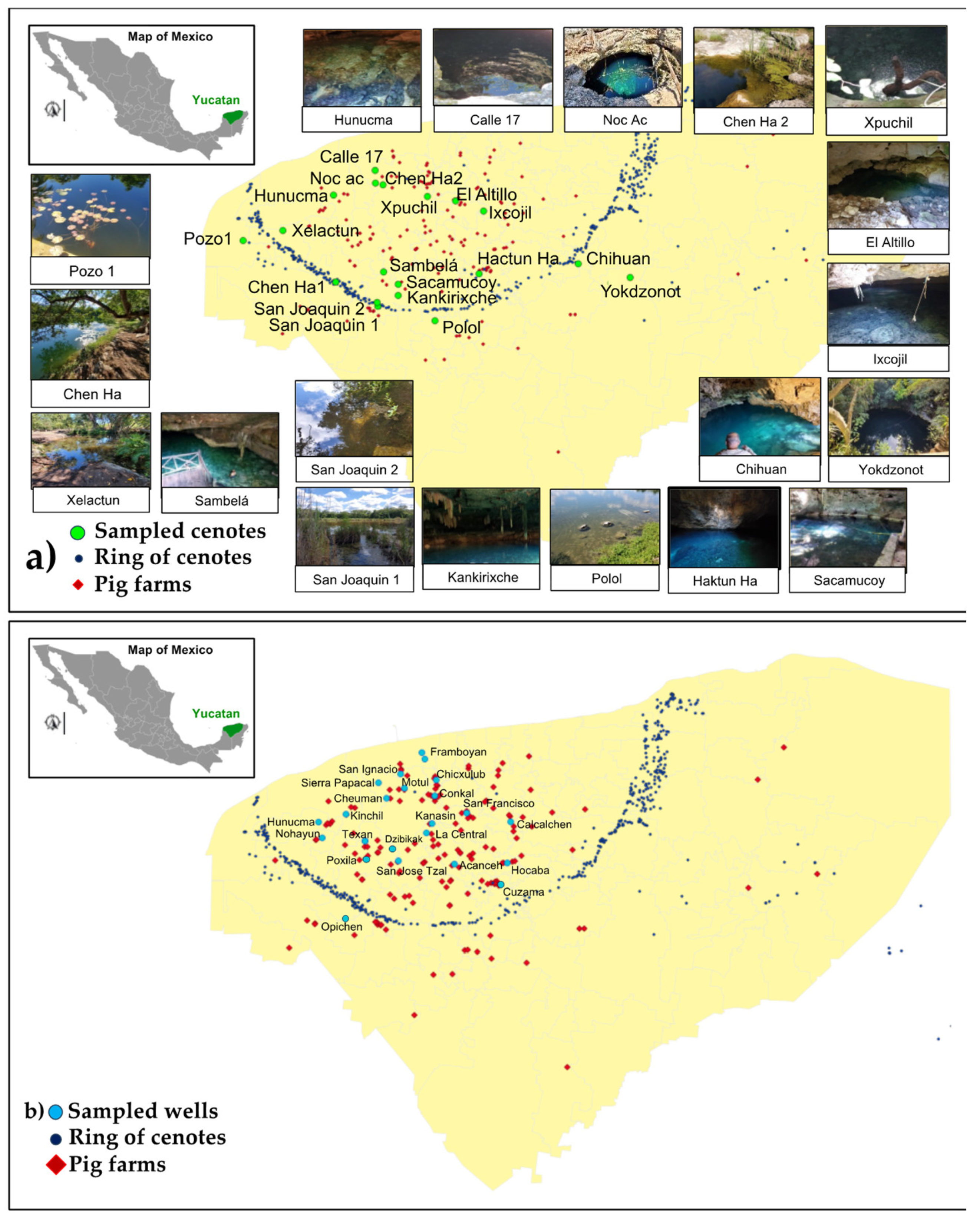 Preprints 148541 g004