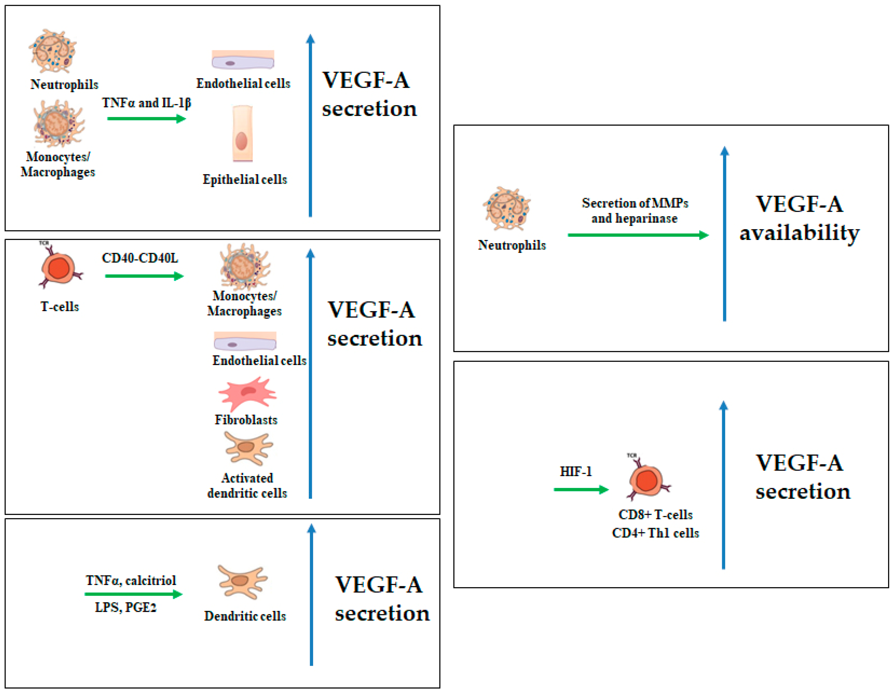Preprints 140287 g002