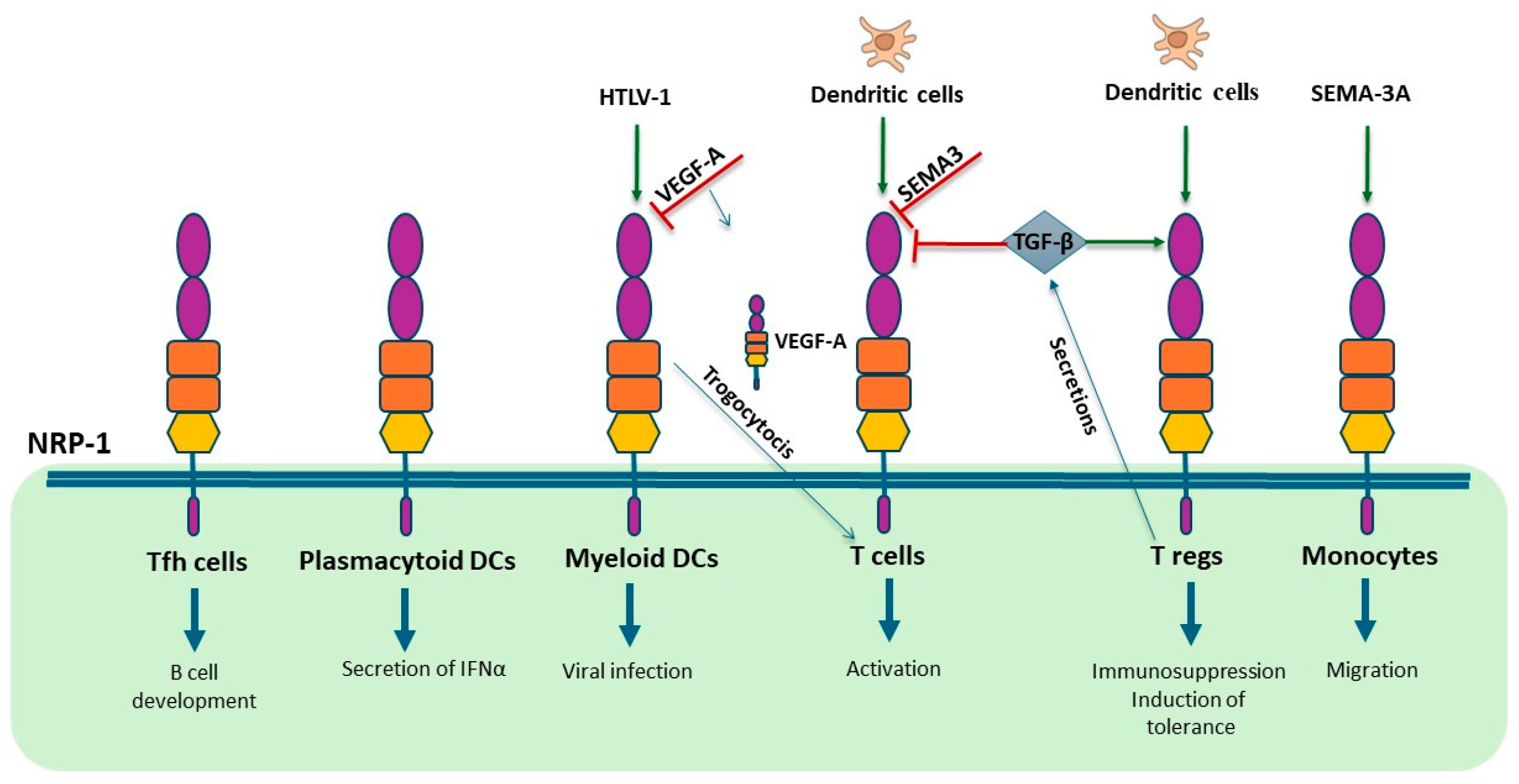 Preprints 140287 g003