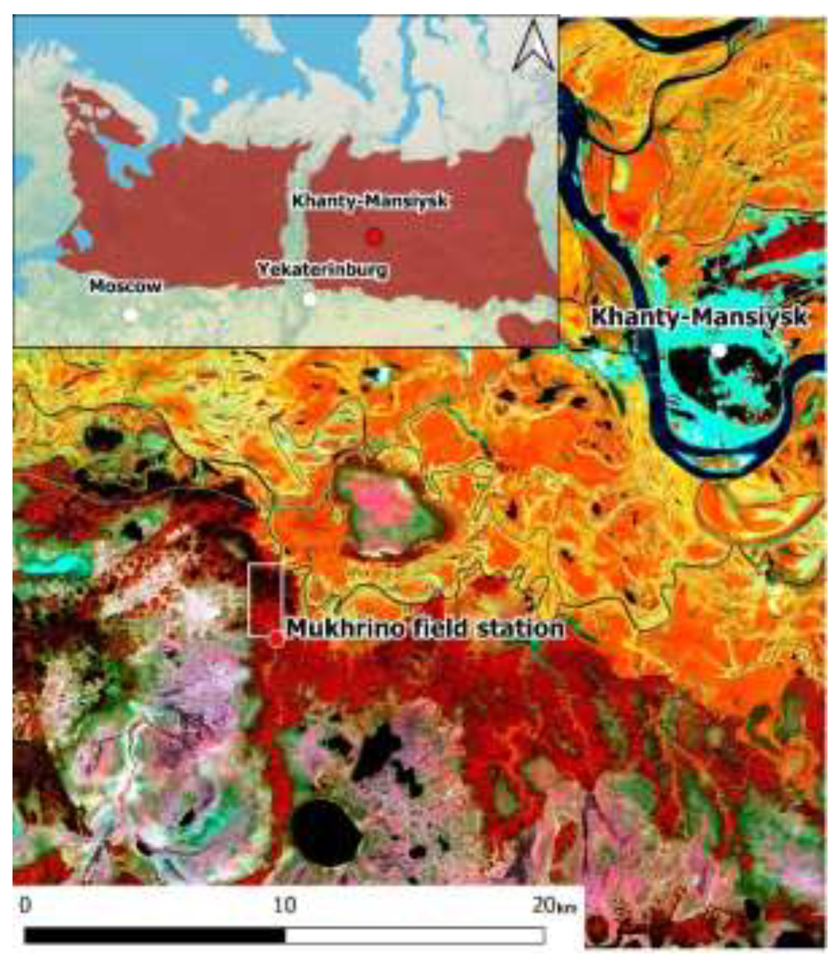 Preprints 140778 g001