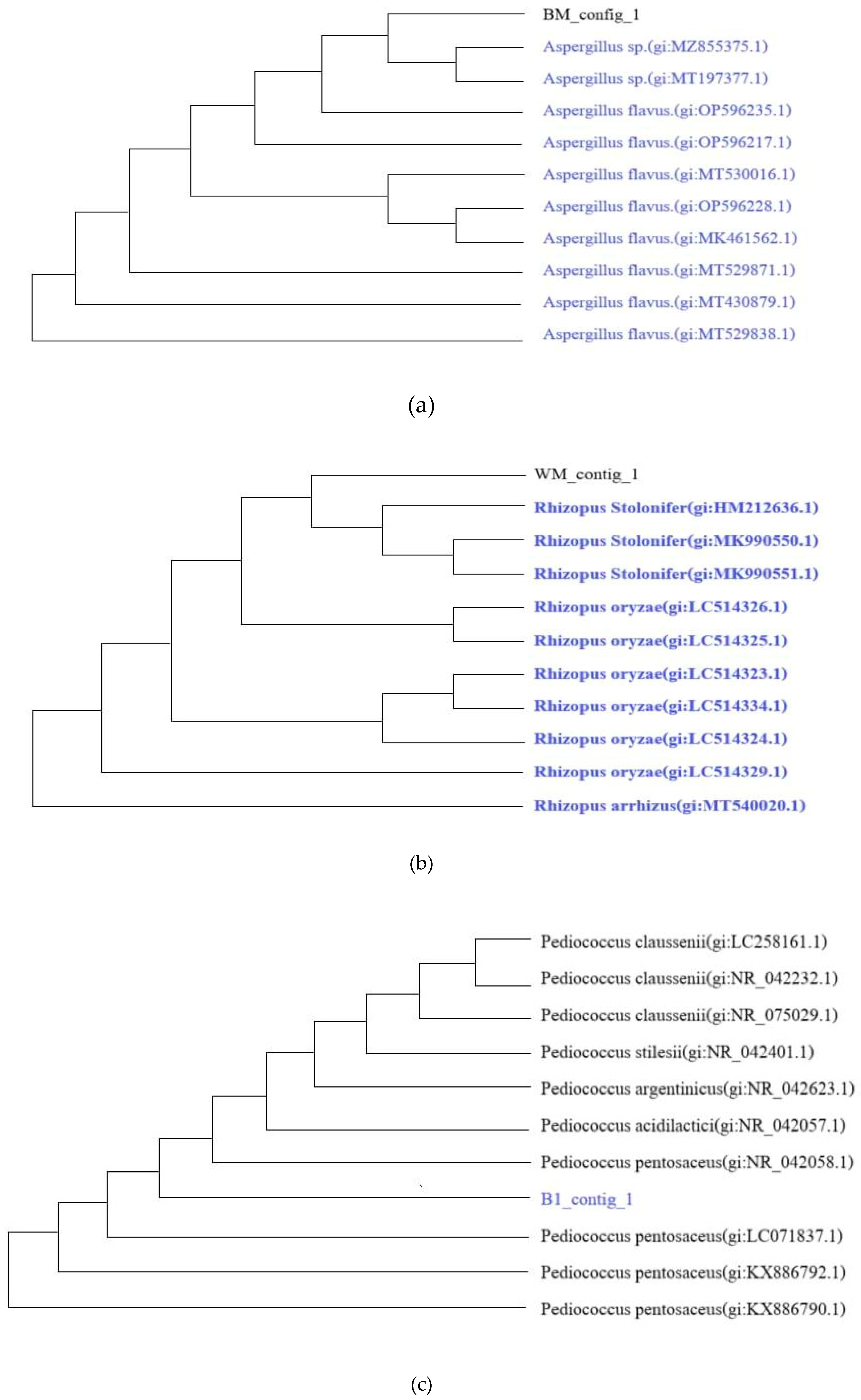 Preprints 174491 g001