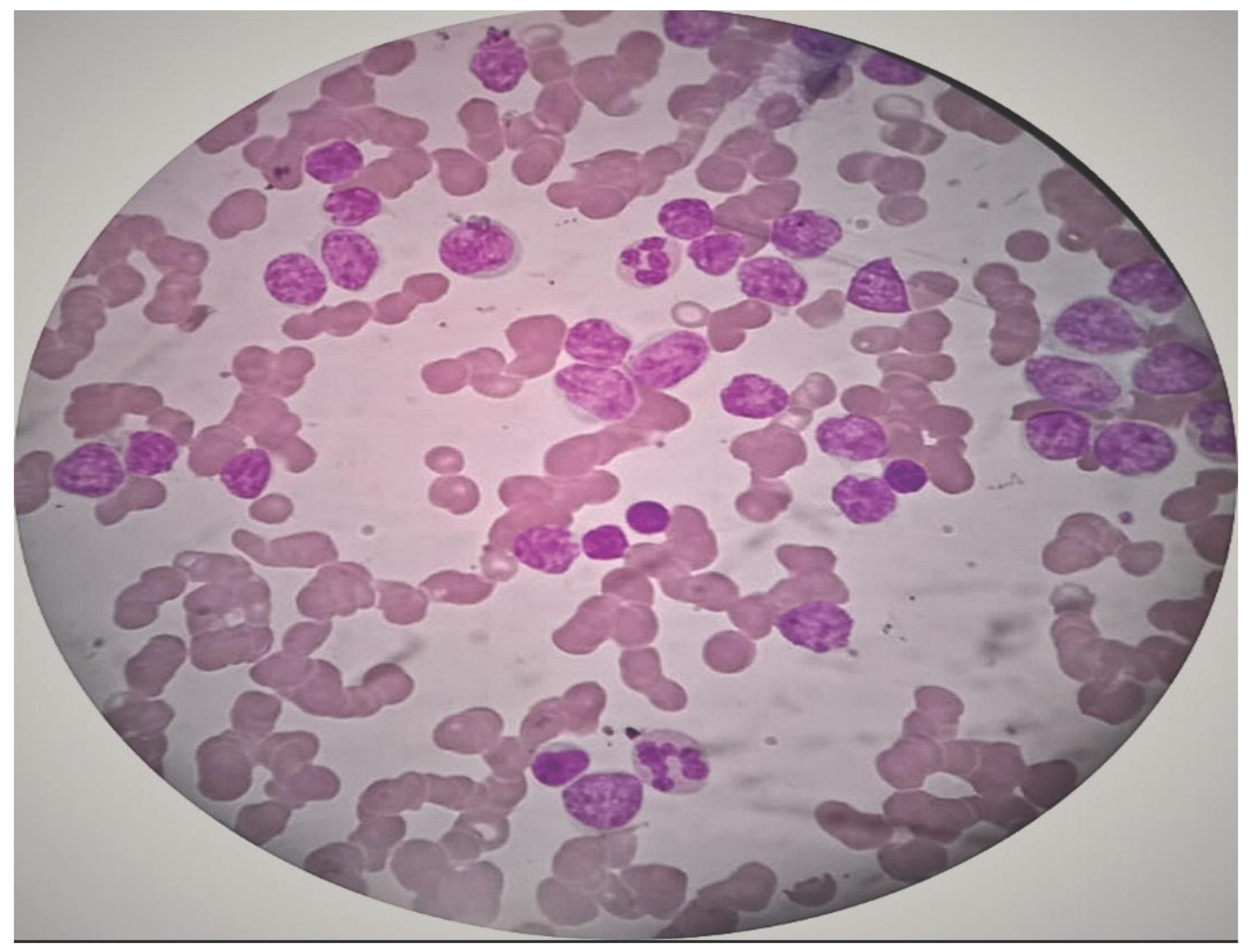 Preprints 177699 g001