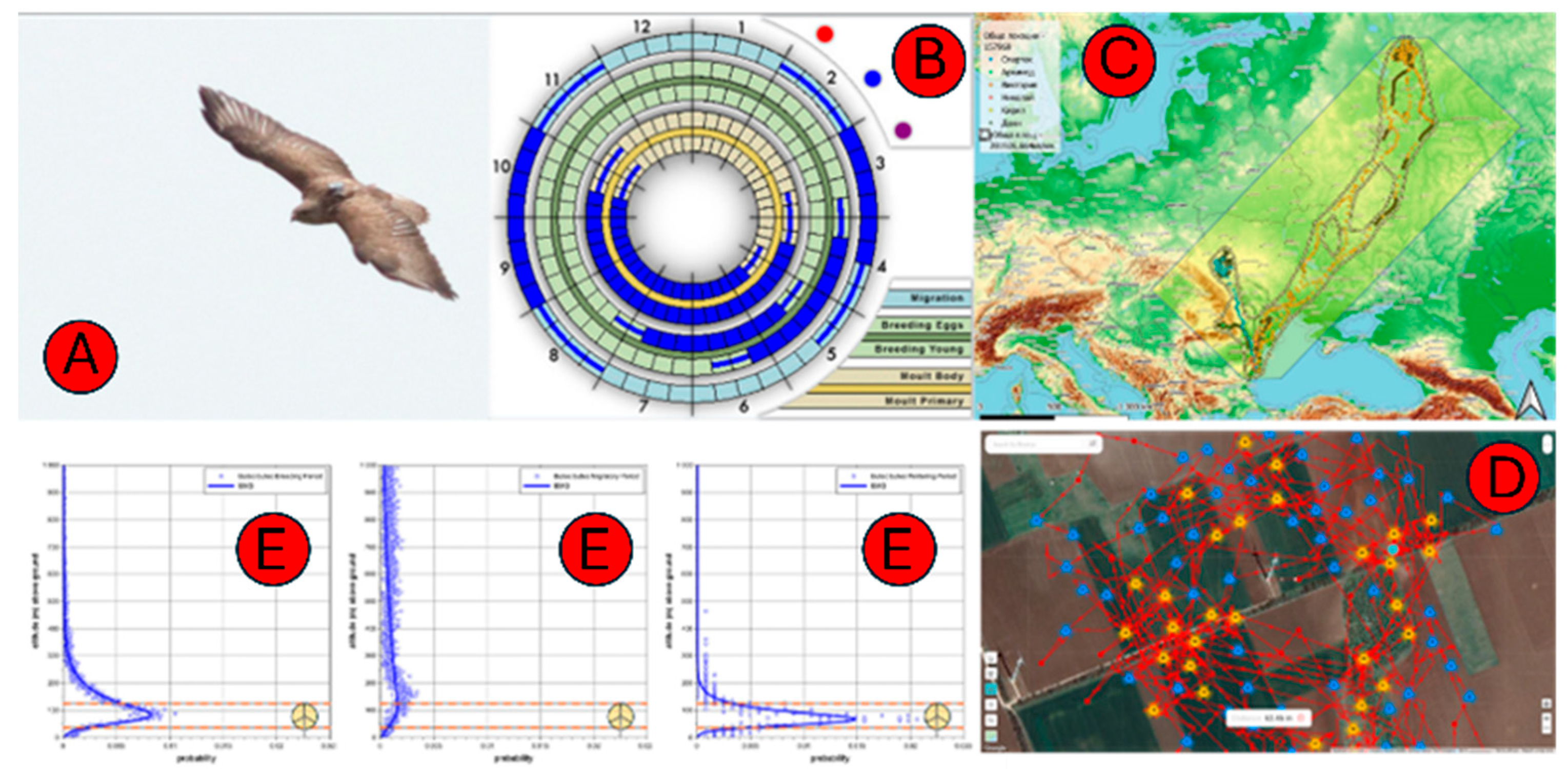 Preprints 172179 g001