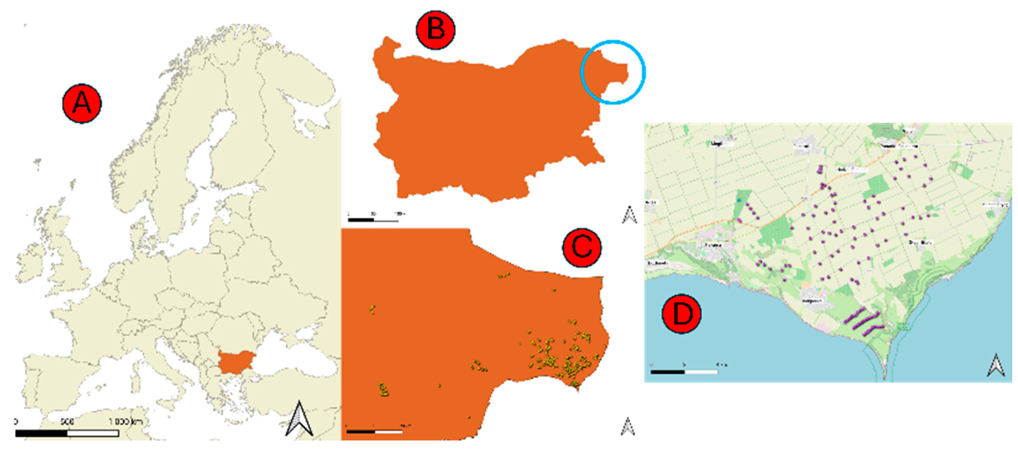 Preprints 172179 g003