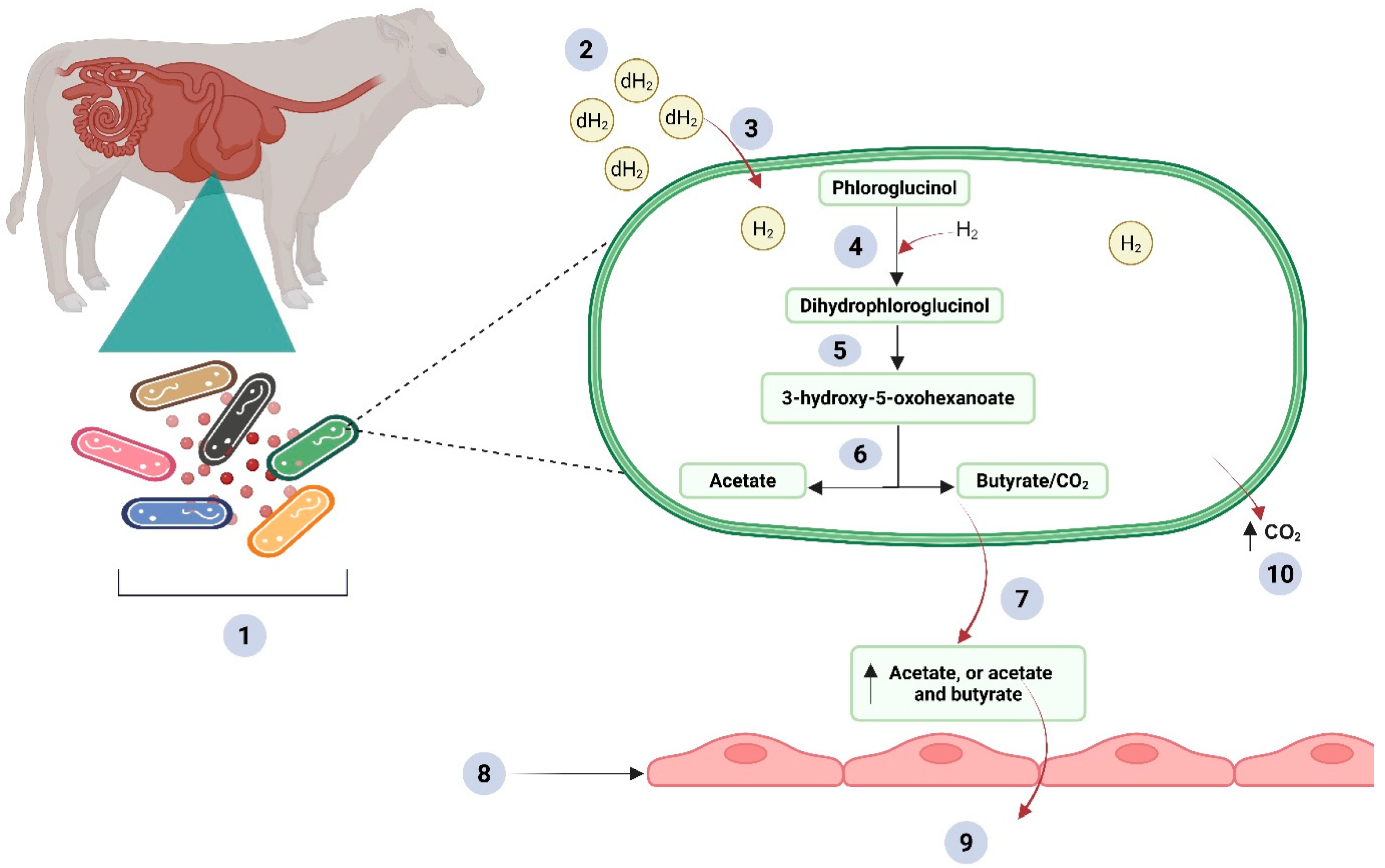 Preprints 181754 g002