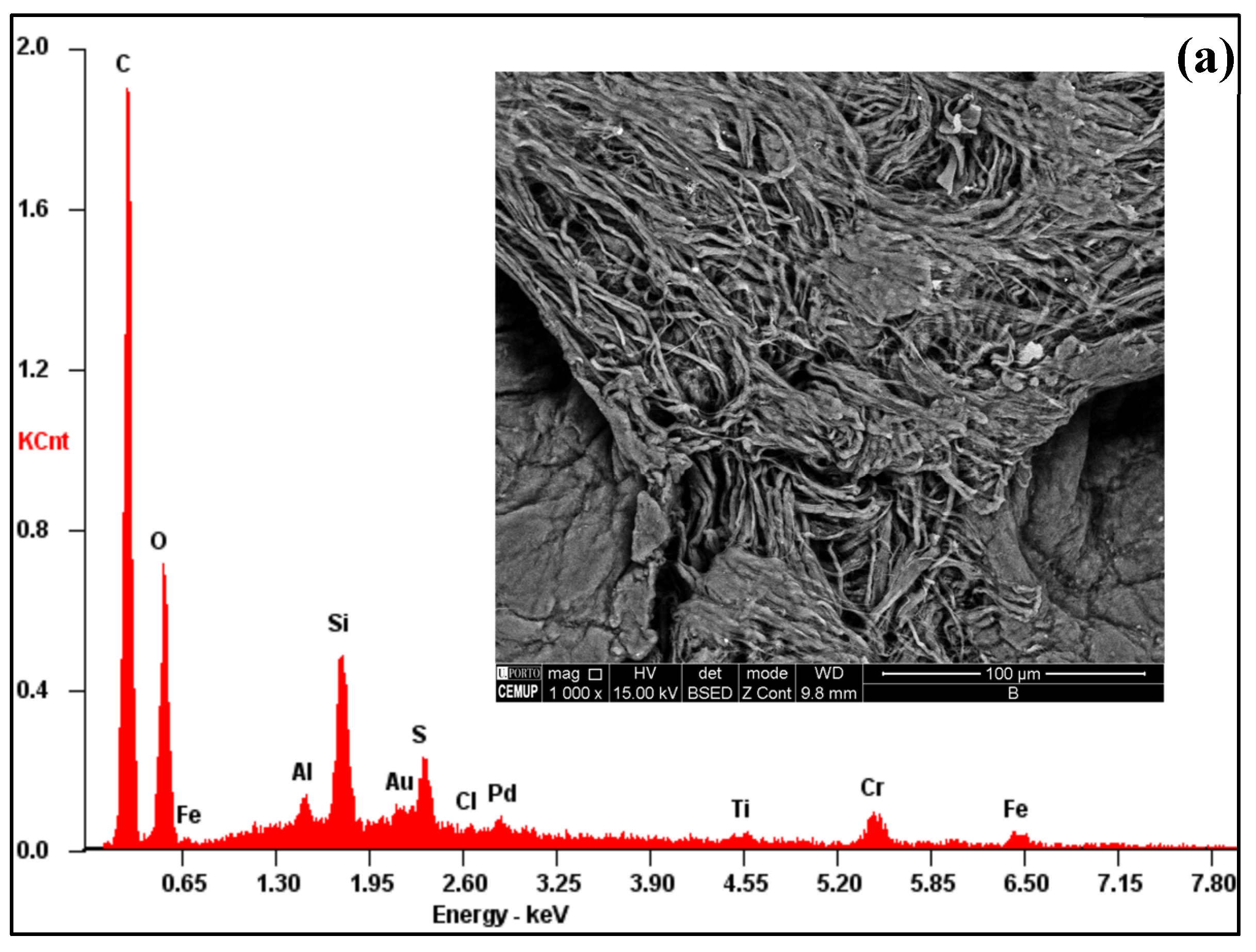 Preprints 203944 g005a
