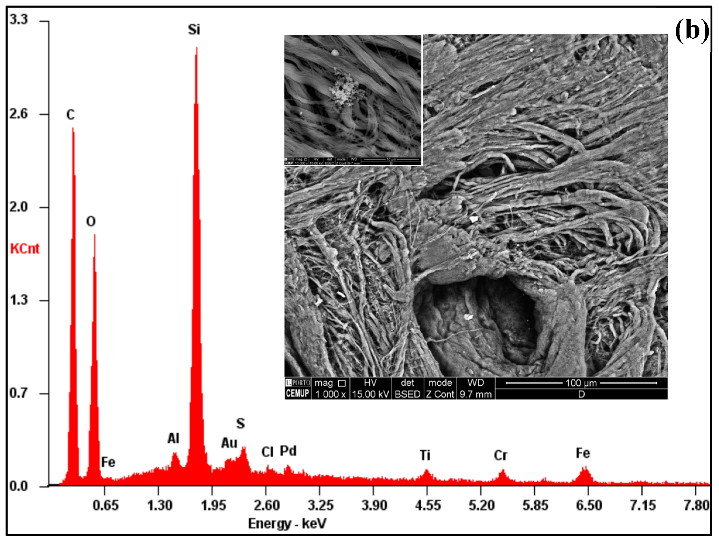 Preprints 203944 g005b