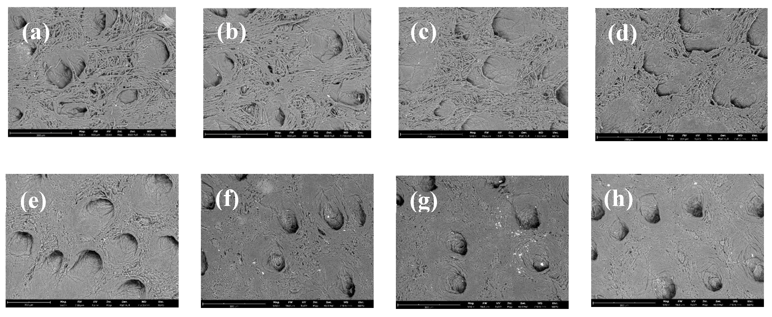 Preprints 203944 g008