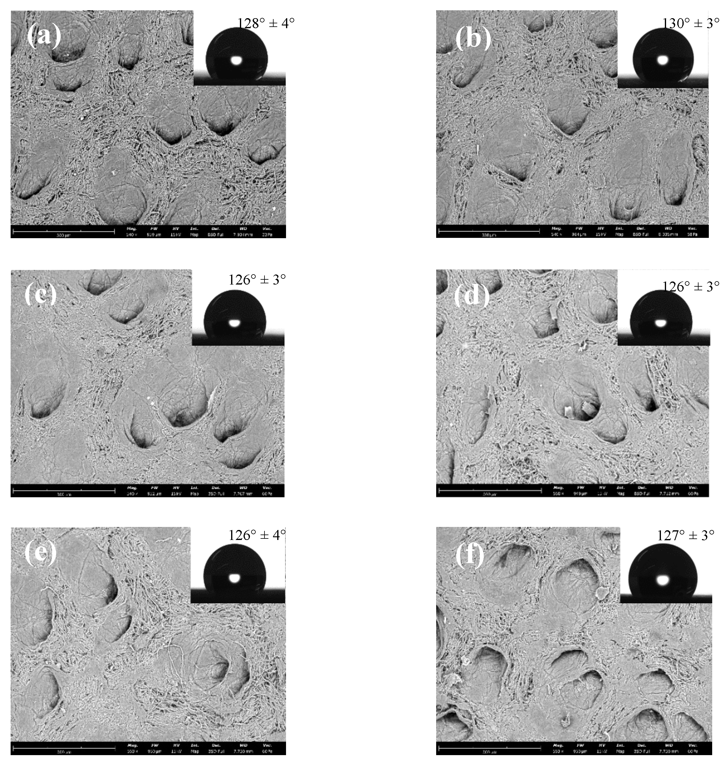 Preprints 203944 g009