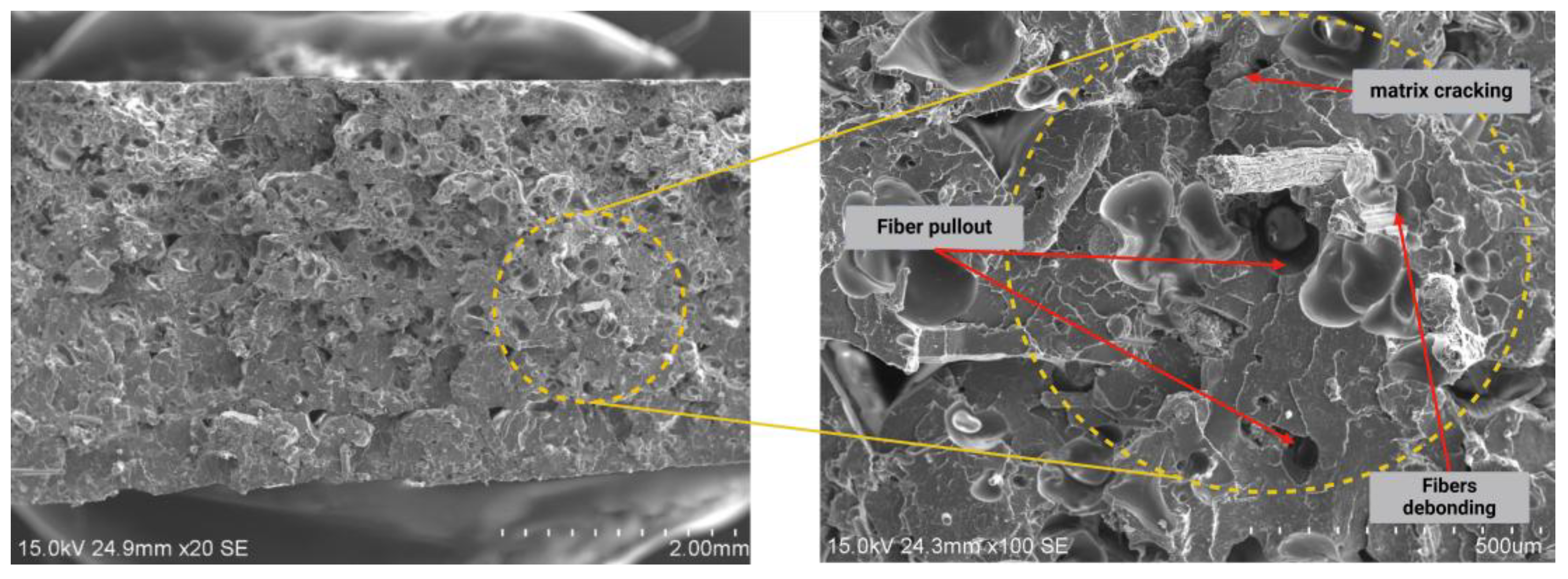 Preprints 147507 g007