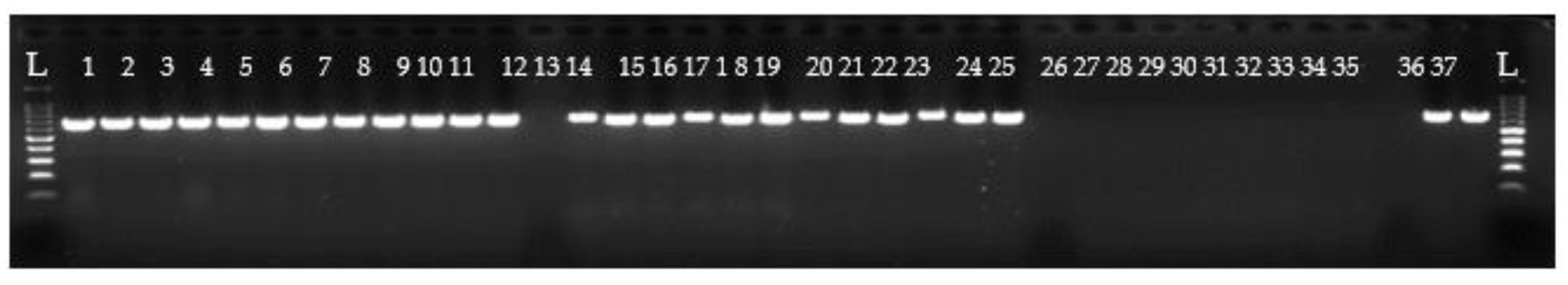 Preprints 162347 g001