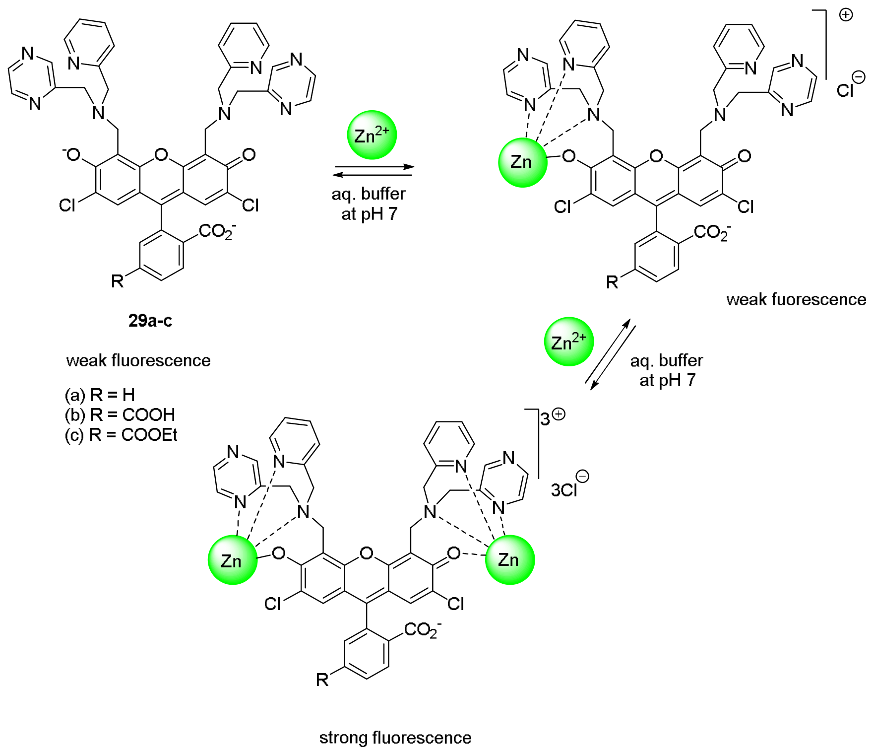 Preprints 233595 g024