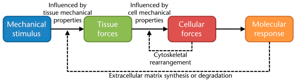 Preprints 222313 g001