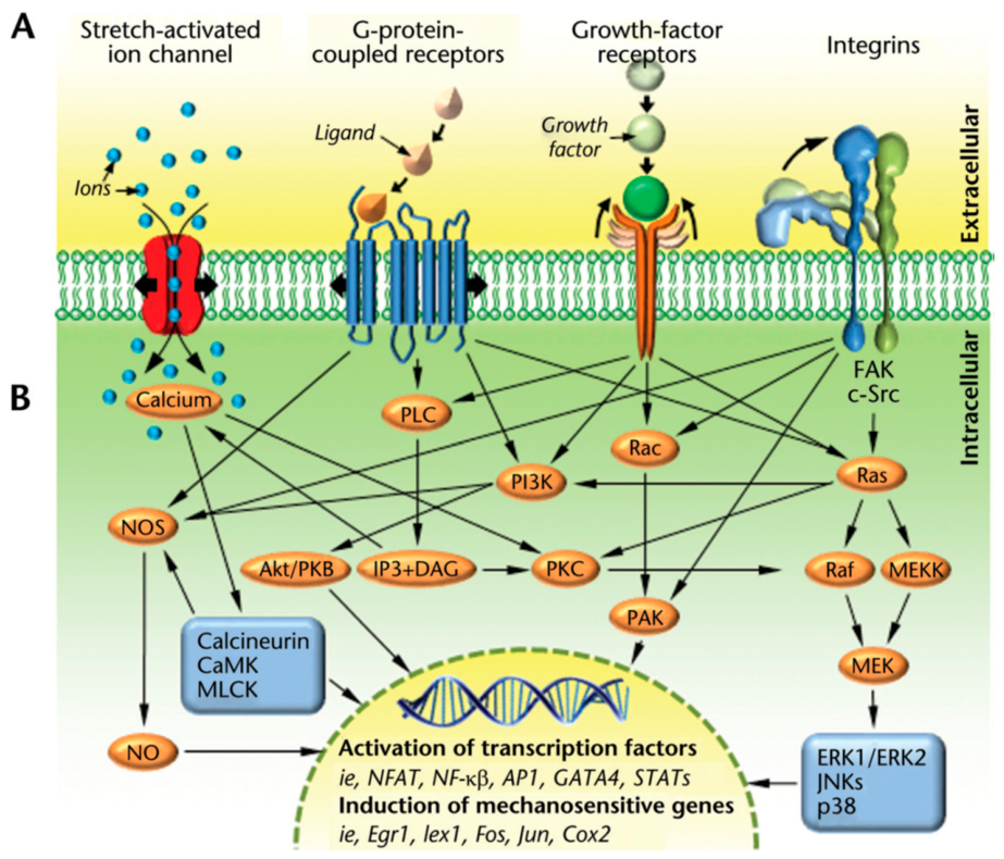 Preprints 222313 g002