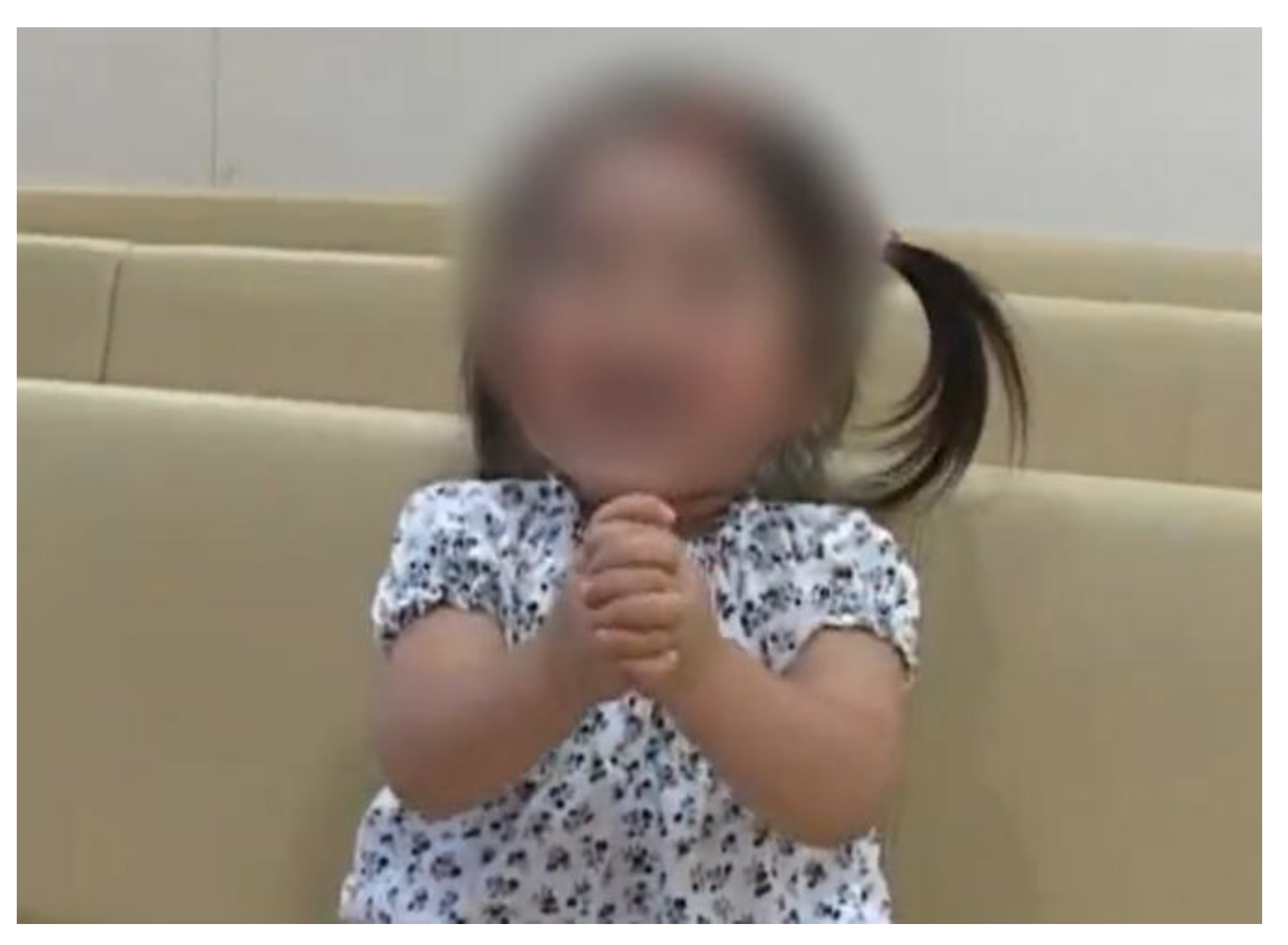 Preprints 173083 g001