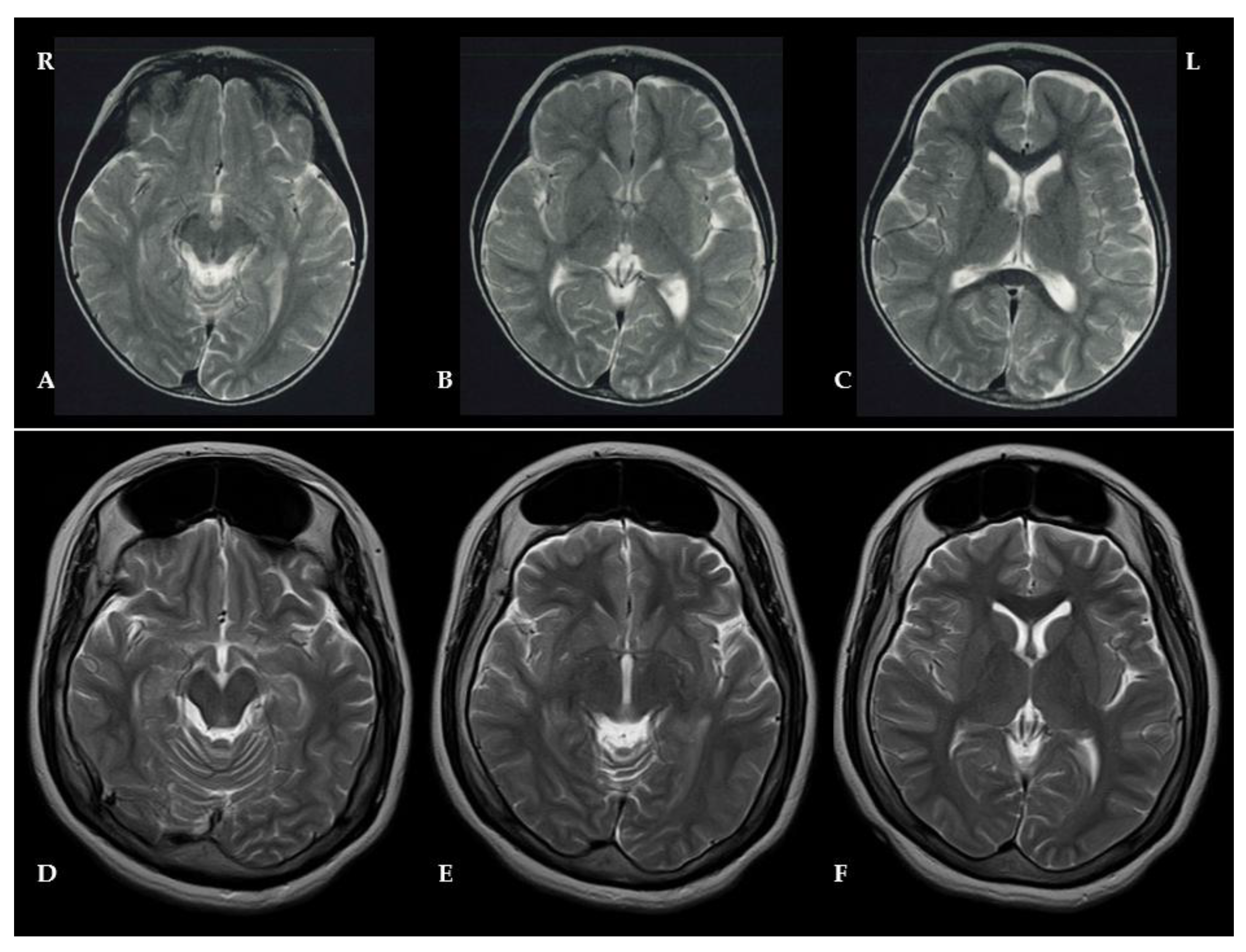 Preprints 173083 g002