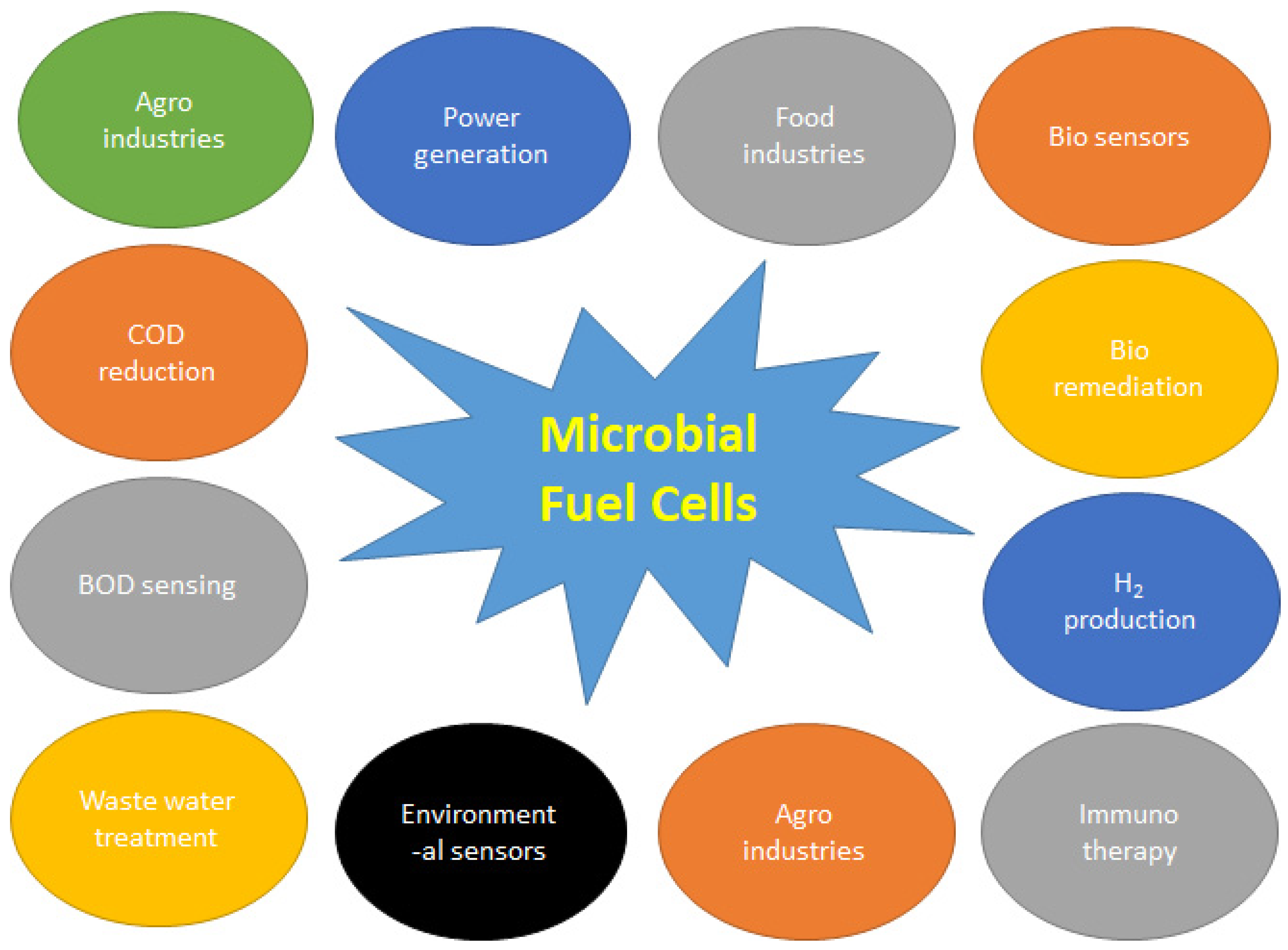 Preprints 76937 g002