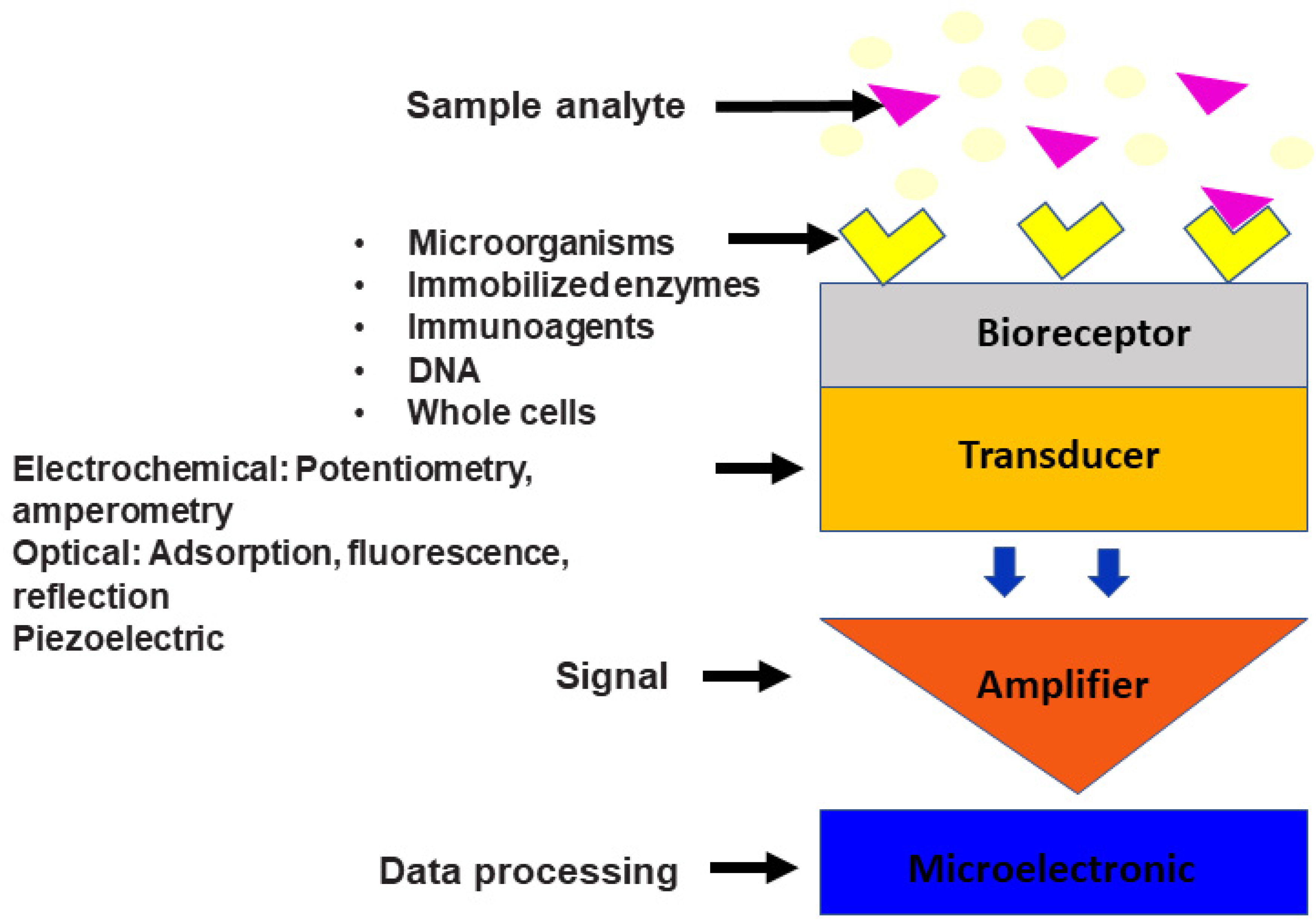 Preprints 76937 g003