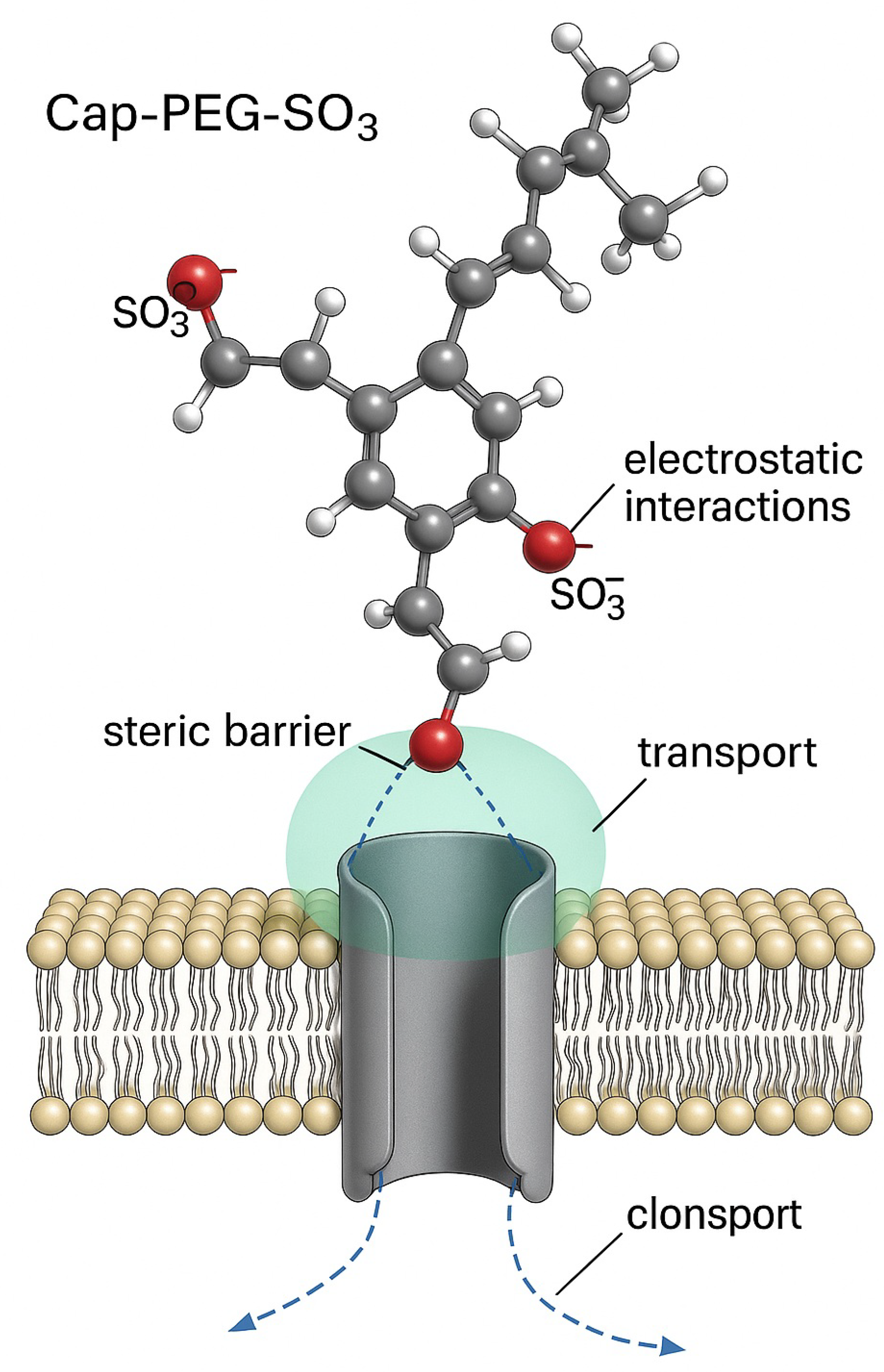 Preprints 174681 g003