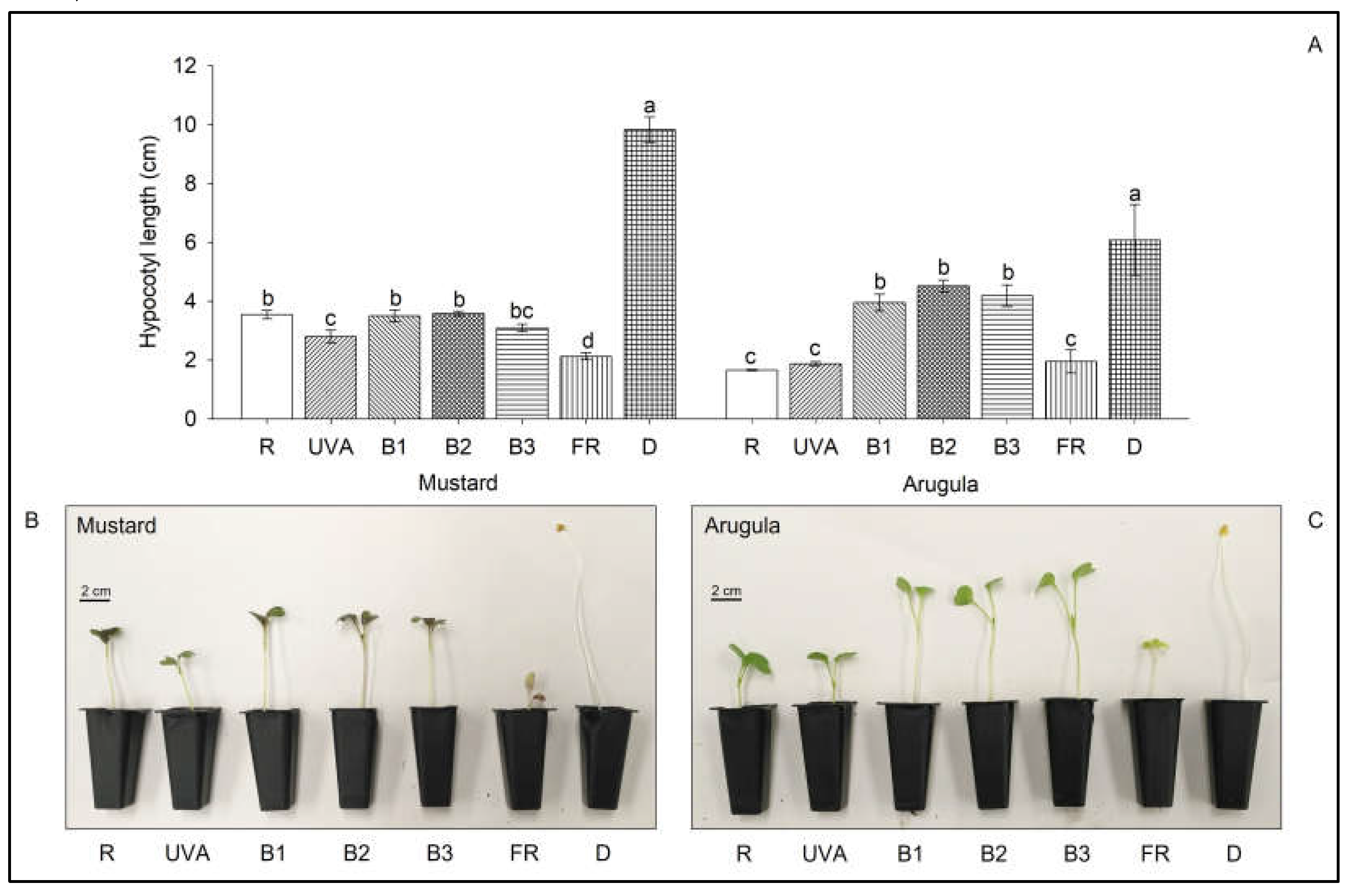 Preprints 73535 g003