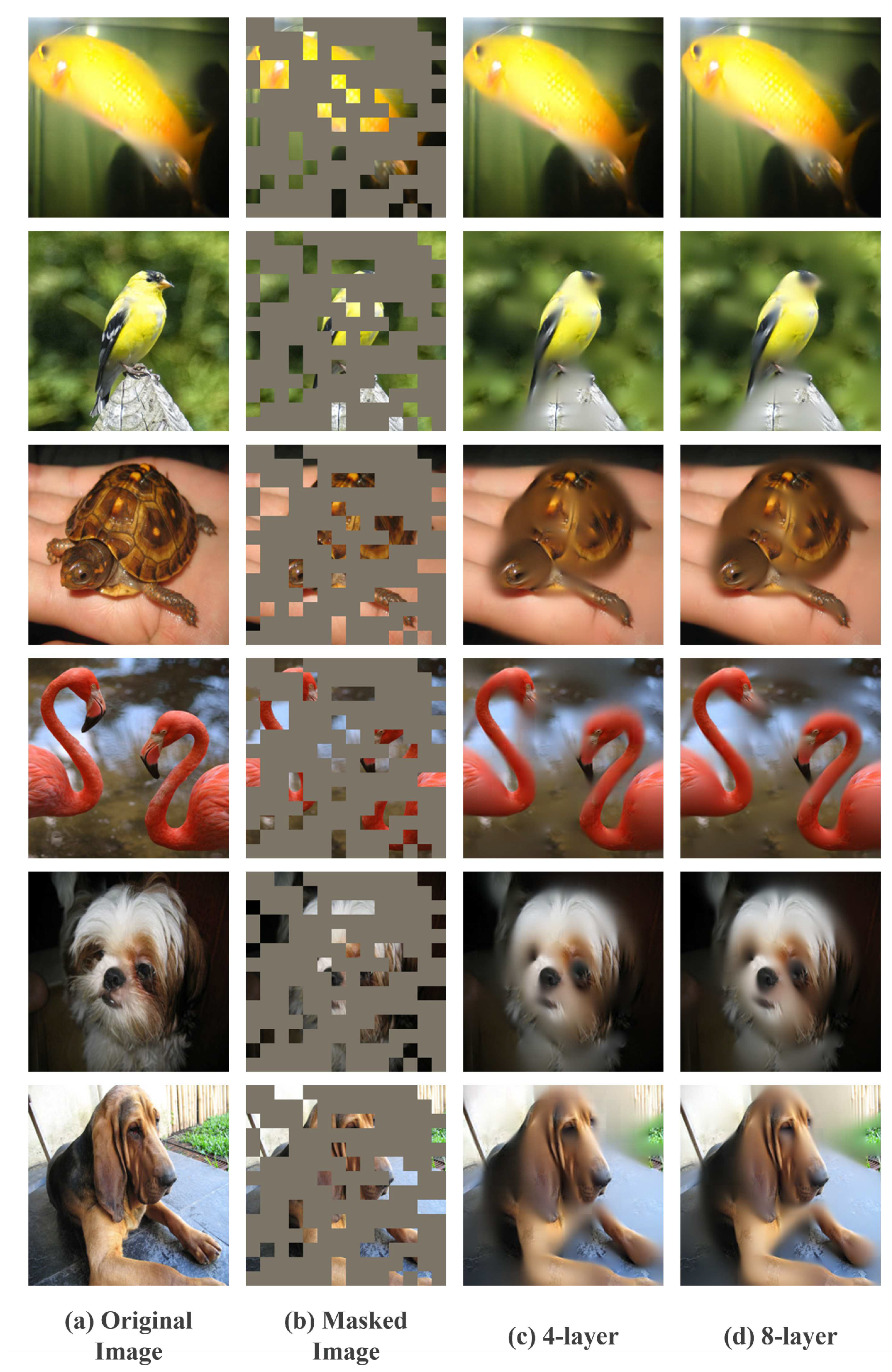 Preprints 86957 g005