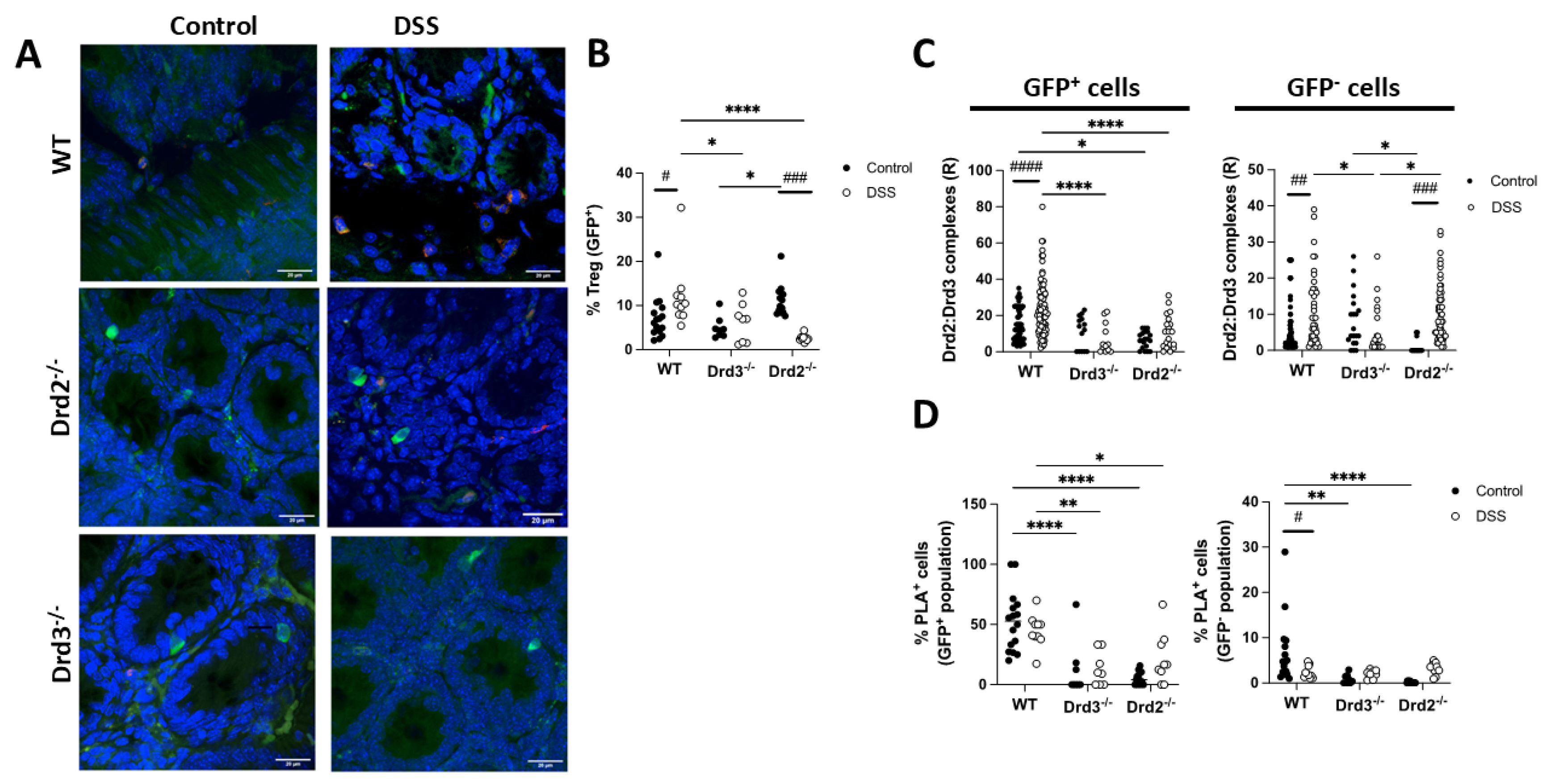 Preprints 172113 g006