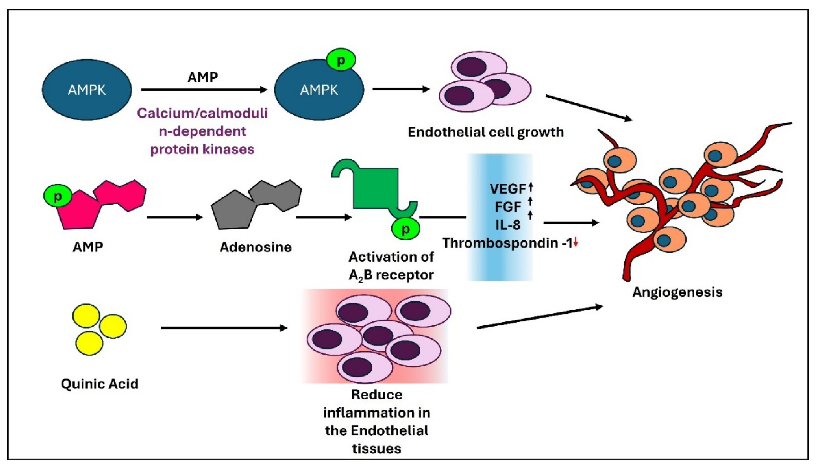 Preprints 175088 g002