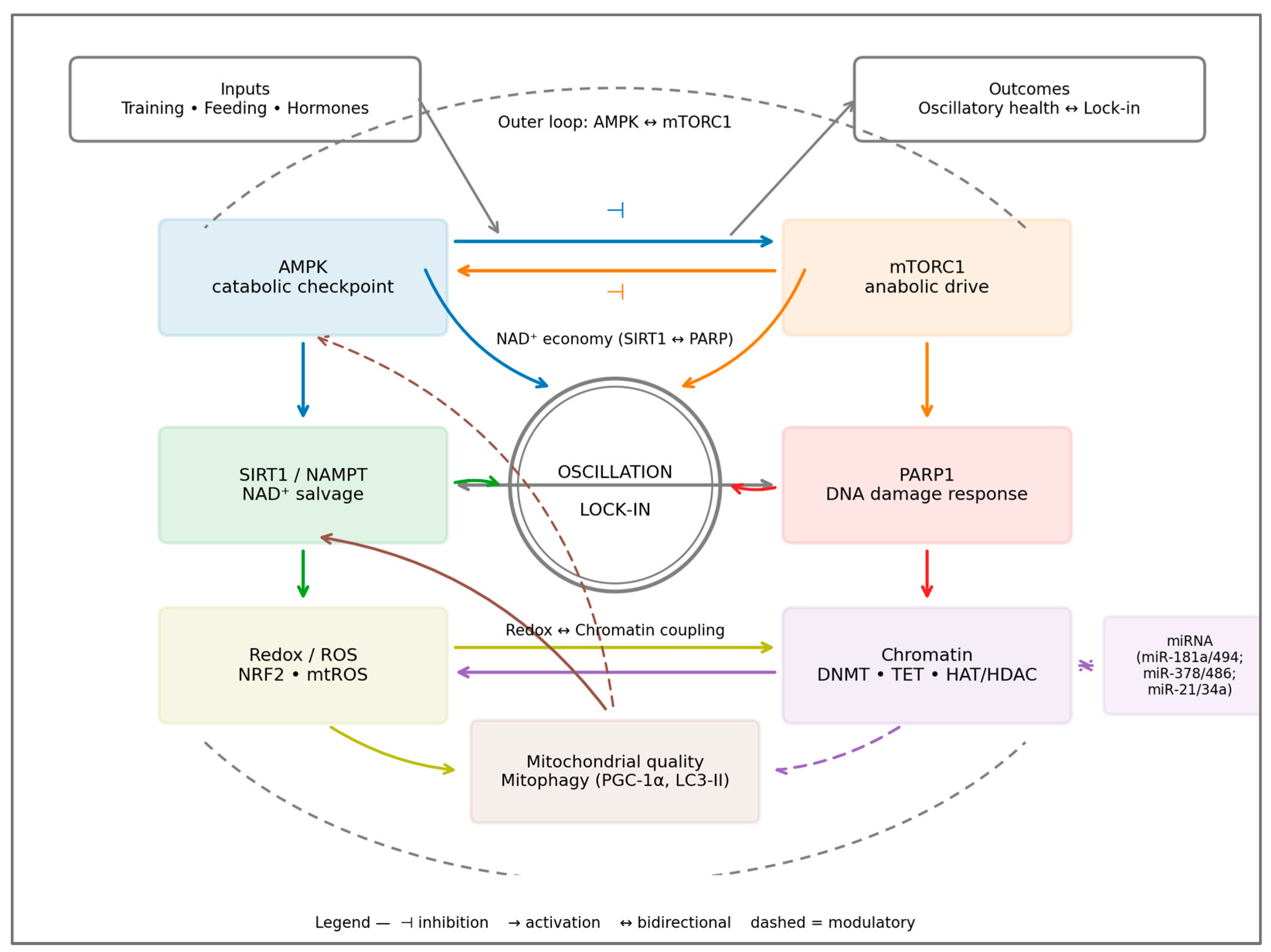 Preprints 181675 g002