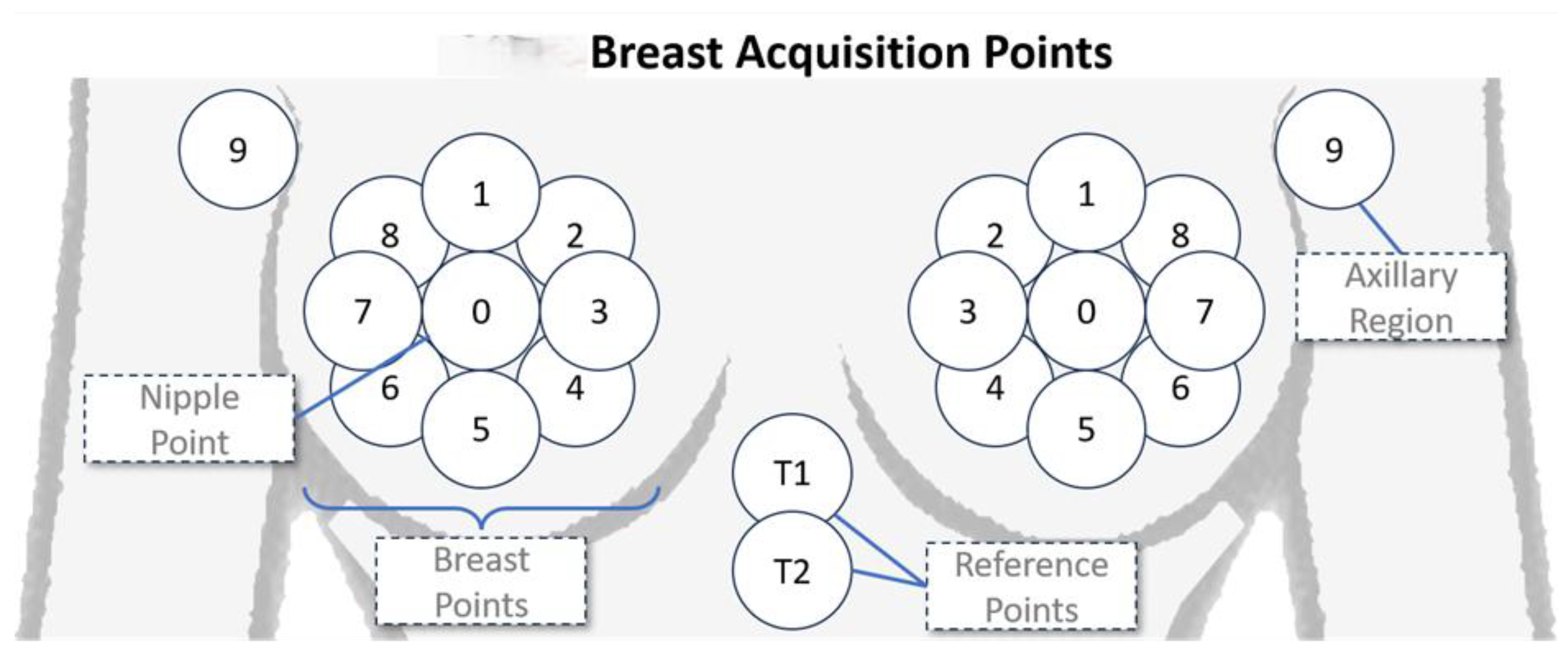 Preprints 196569 g003