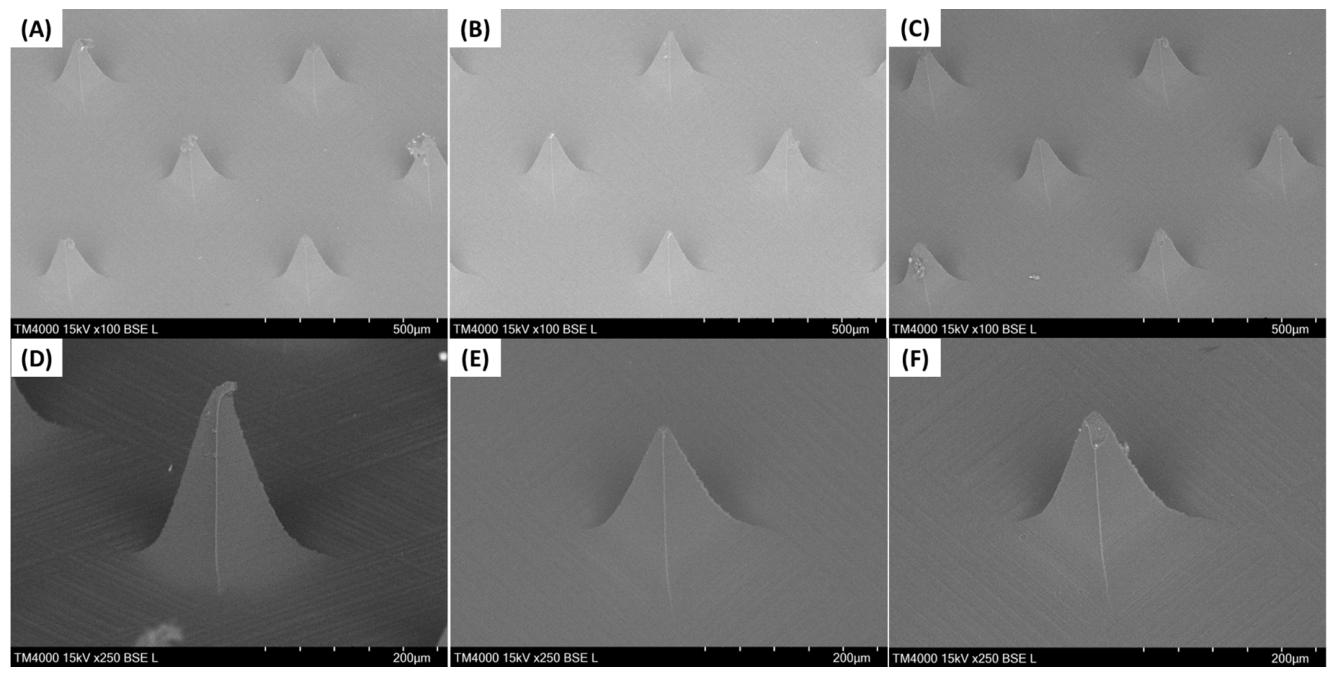 Preprints 208938 g003