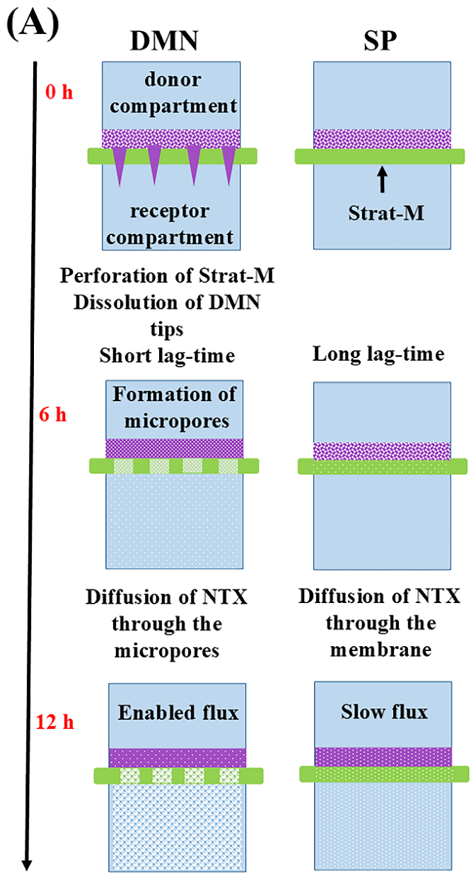 Preprints 208938 g008a