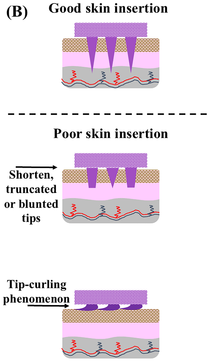 Preprints 208938 g008b