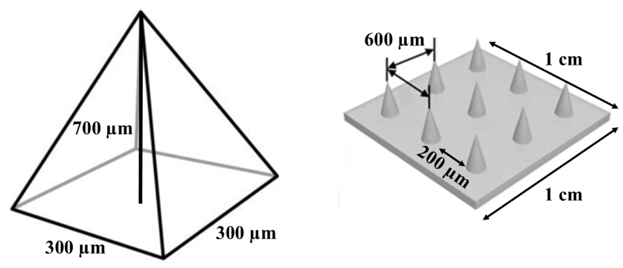 Preprints 208938 g012