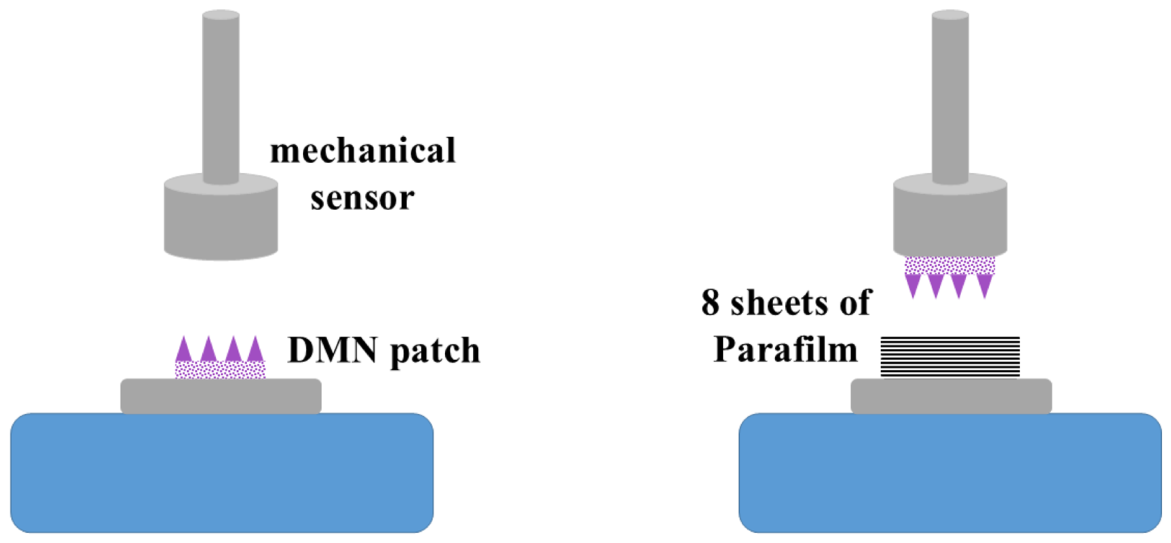 Preprints 208938 g014