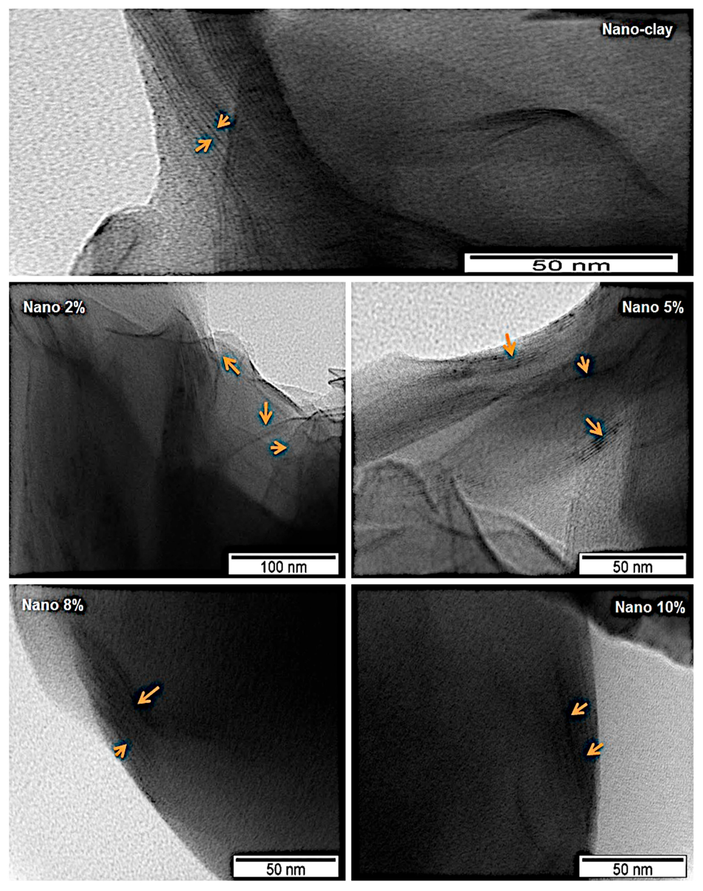 Preprints 157894 g010