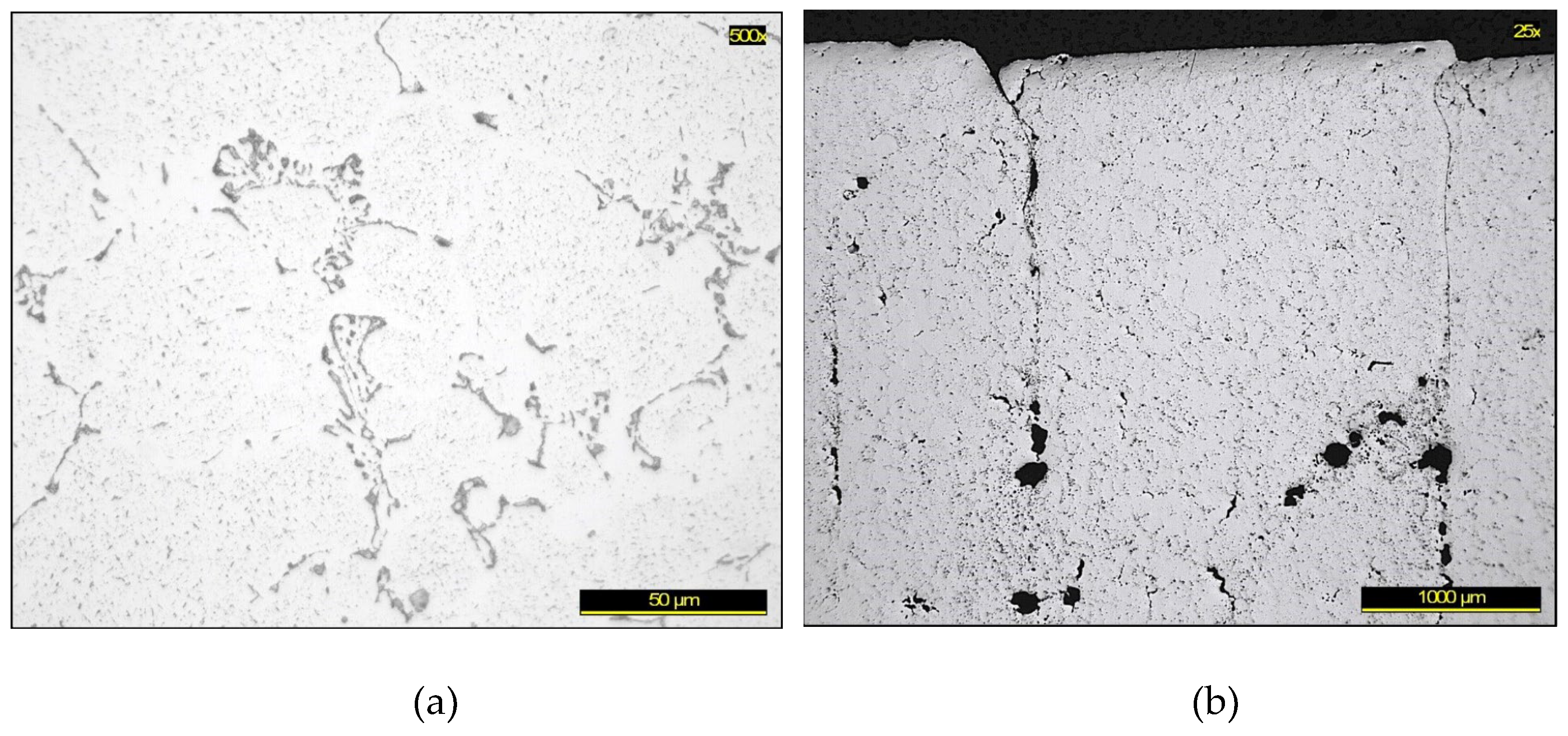 Preprints 190967 g005a