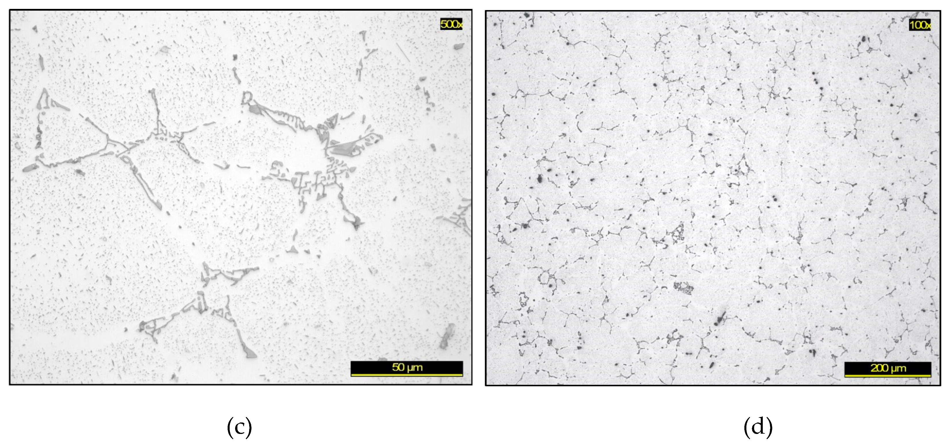 Preprints 190967 g005b