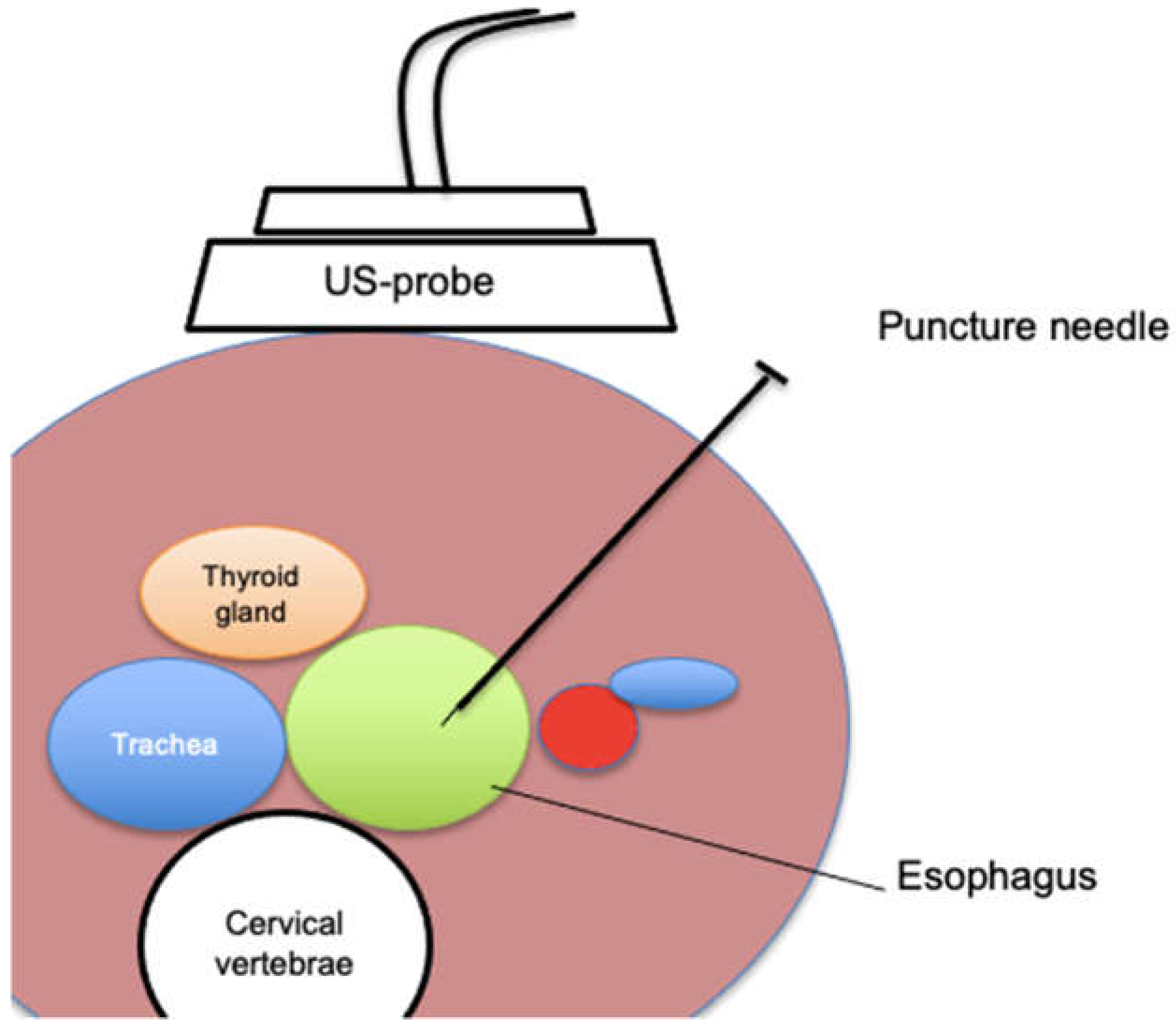 Preprints 152582 g002