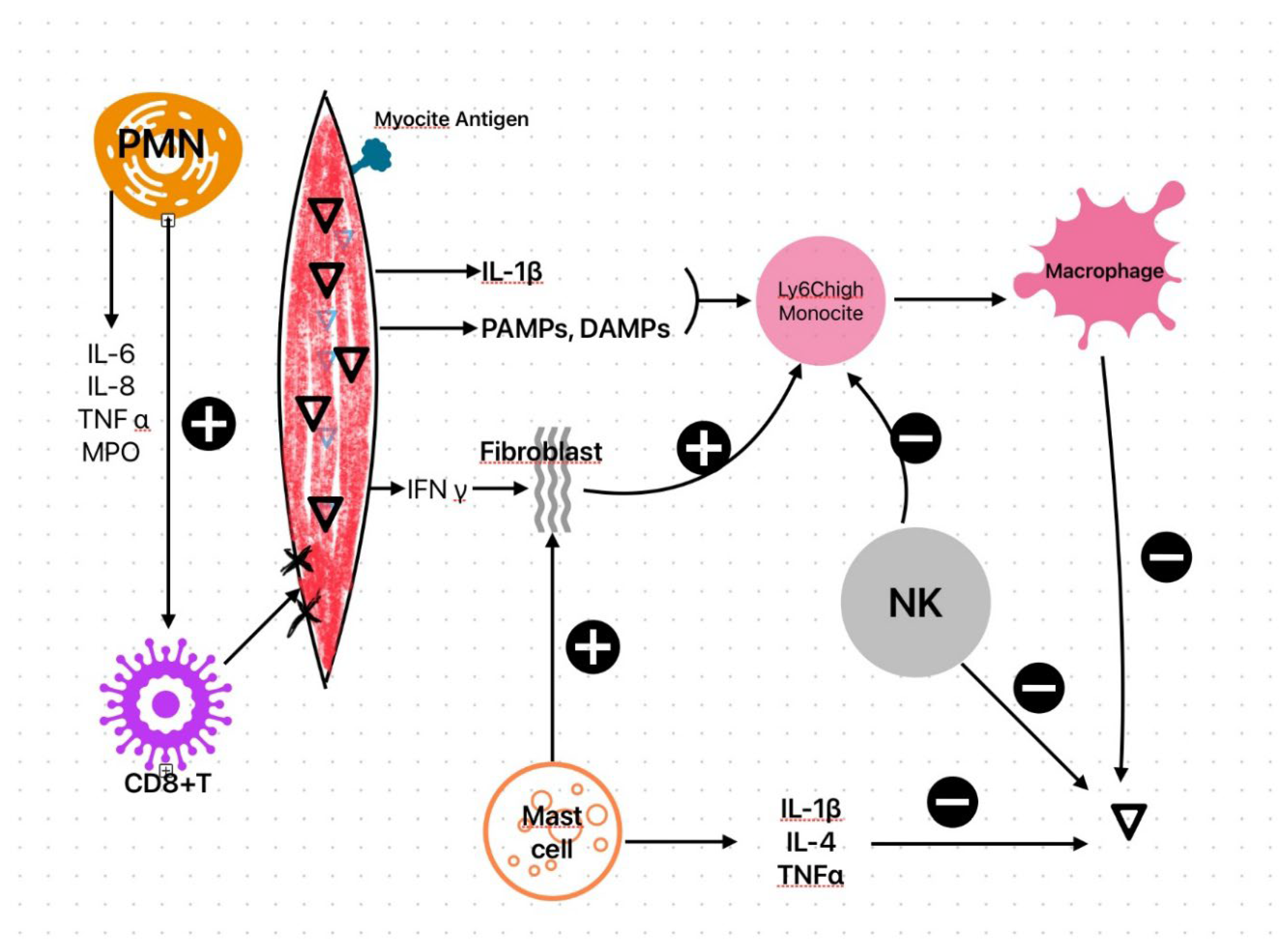 Preprints 191261 g001