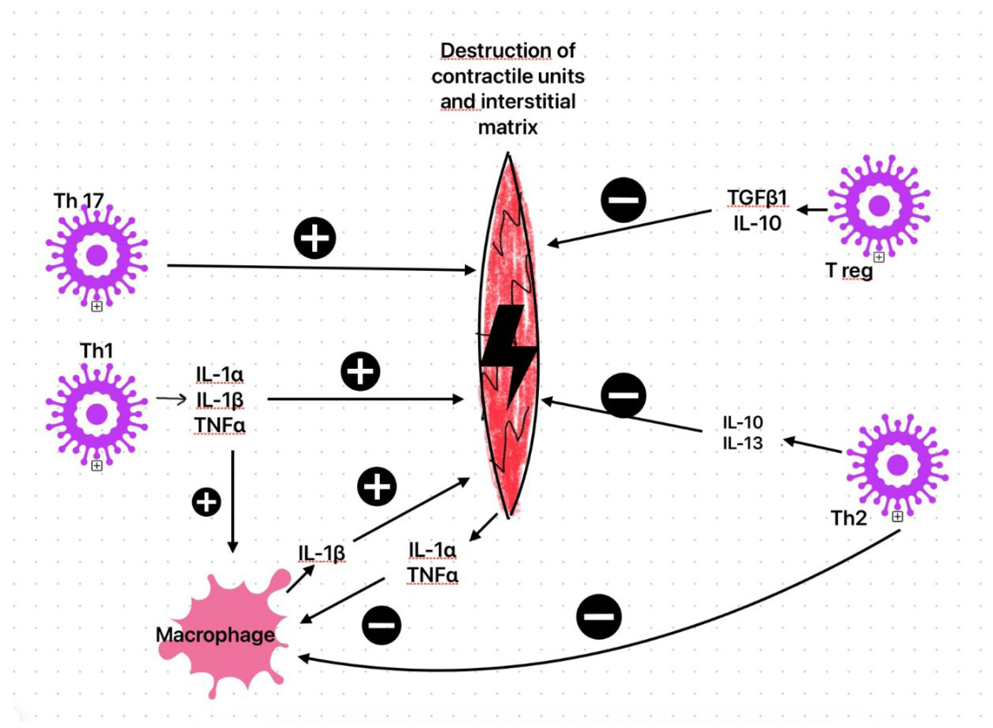Preprints 191261 g002