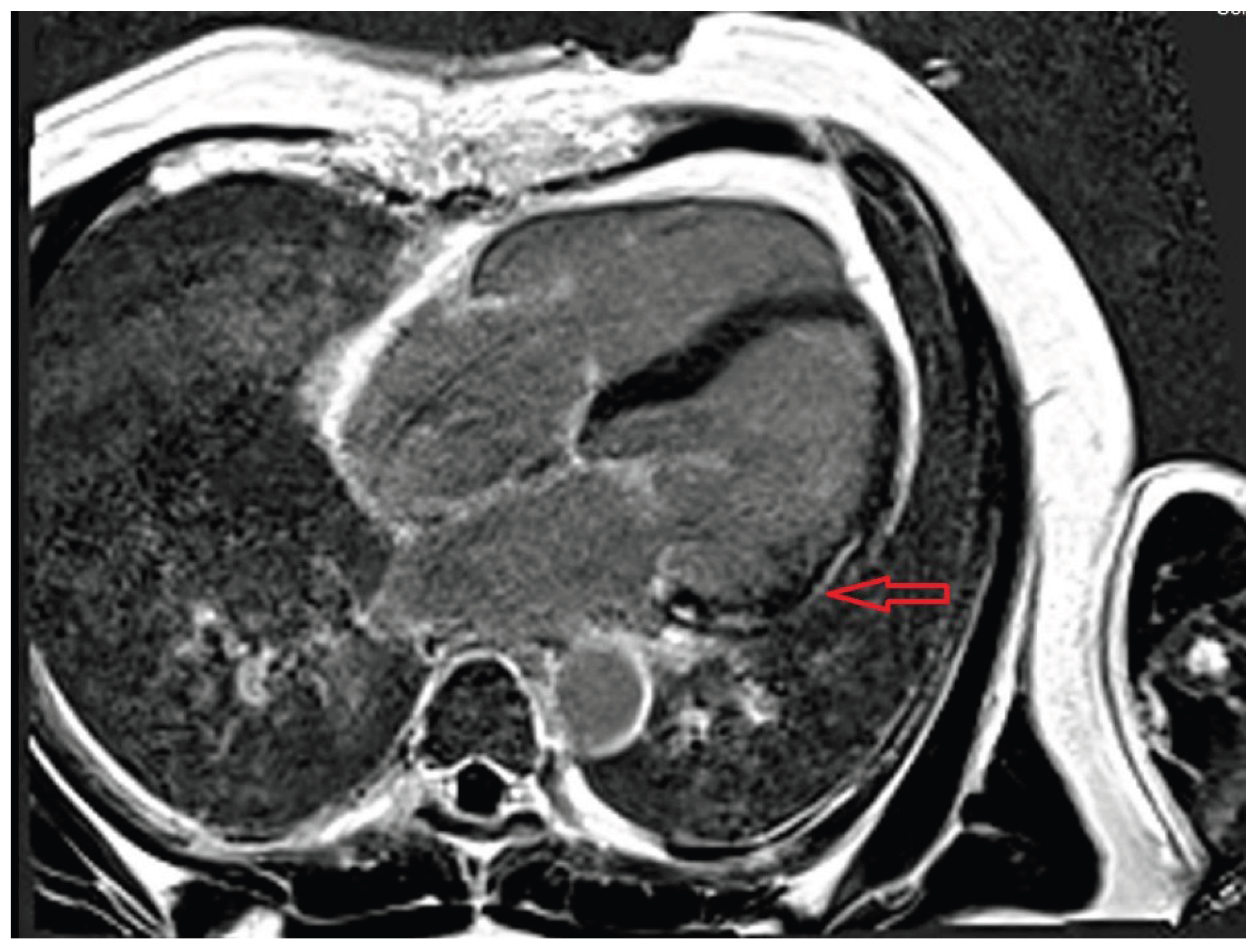 Preprints 191261 g004