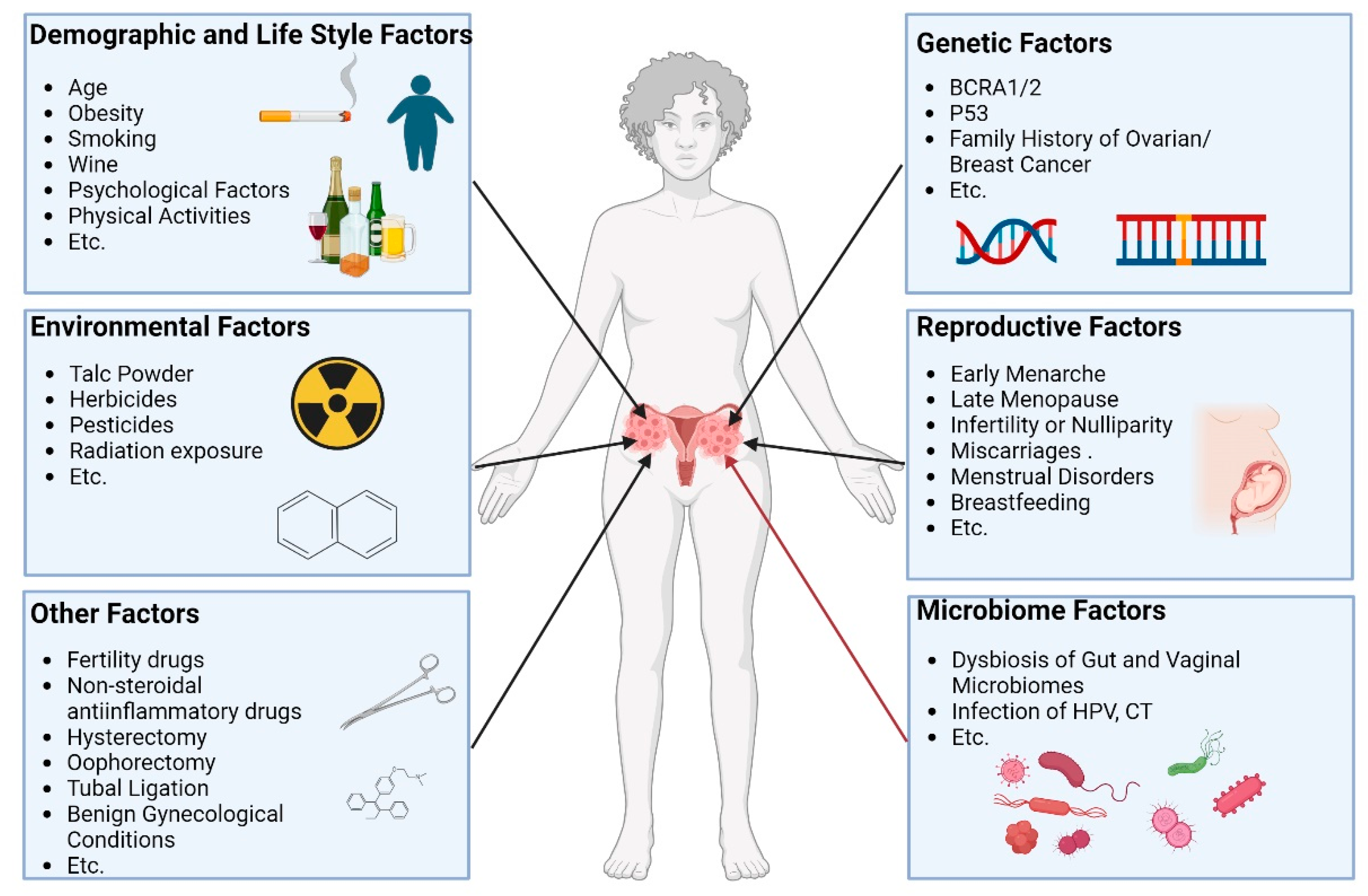 Preprints 152327 g001