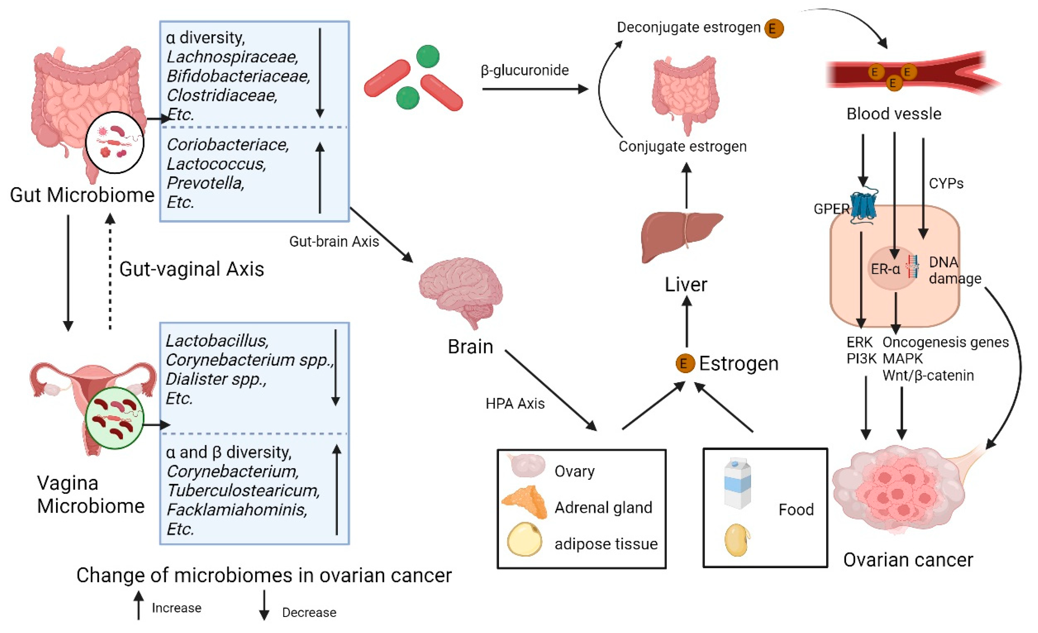Preprints 152327 g002