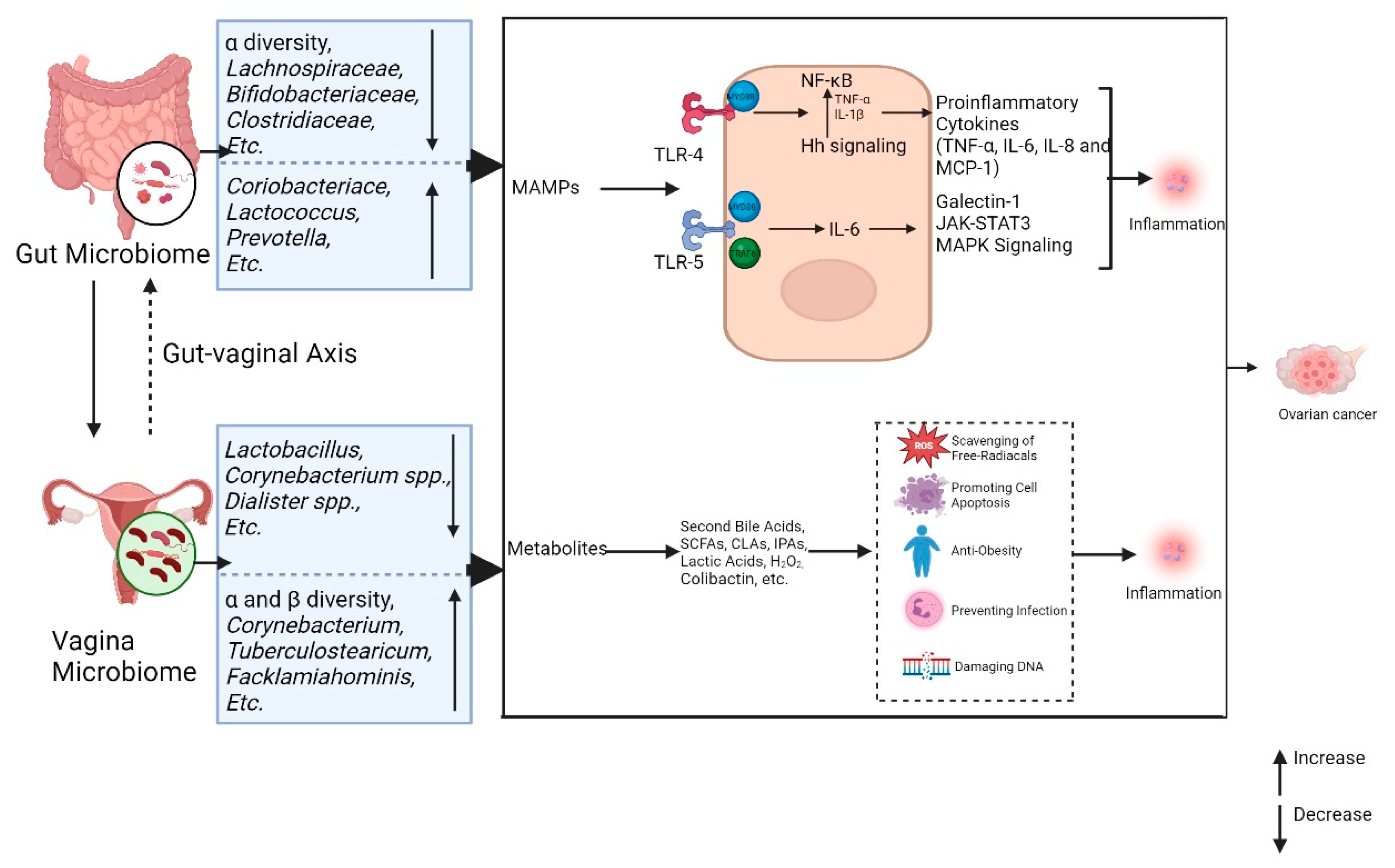 Preprints 152327 g003