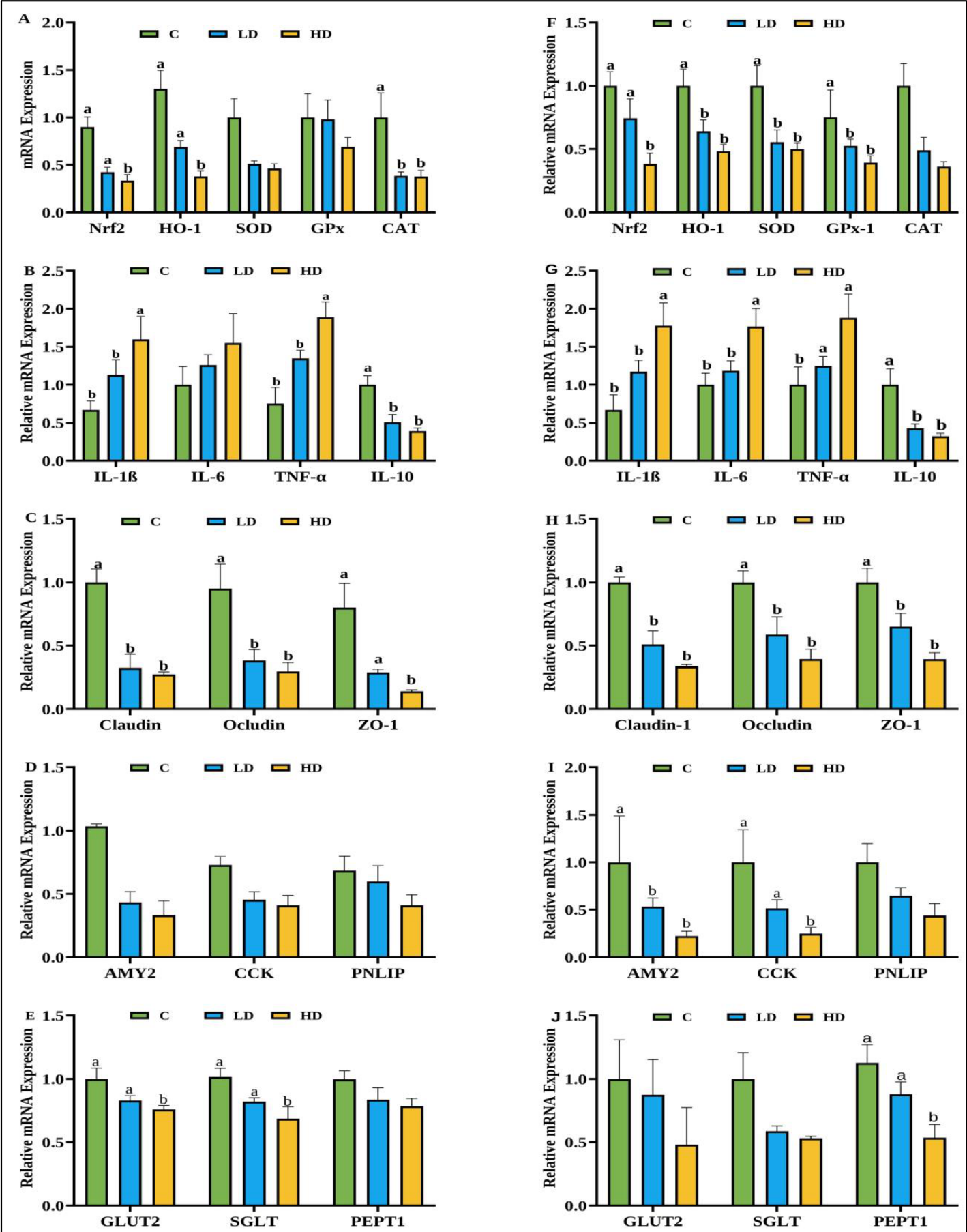 Preprints 237425 g004 Preprints 237425 g004