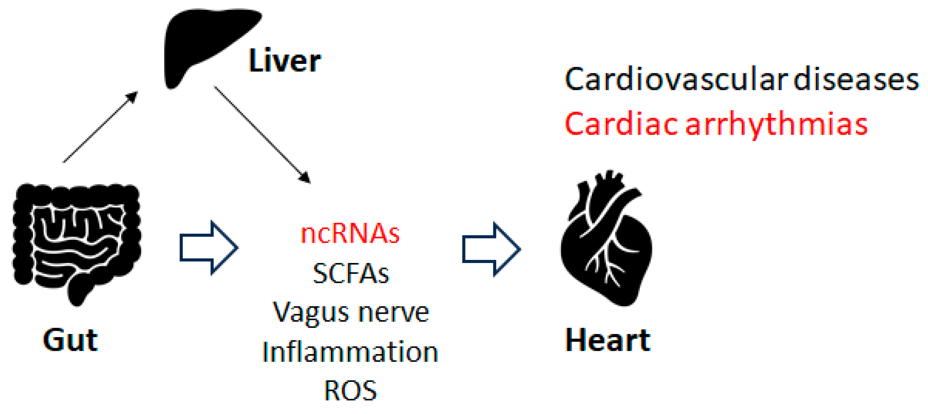 Preprints 80826 g002