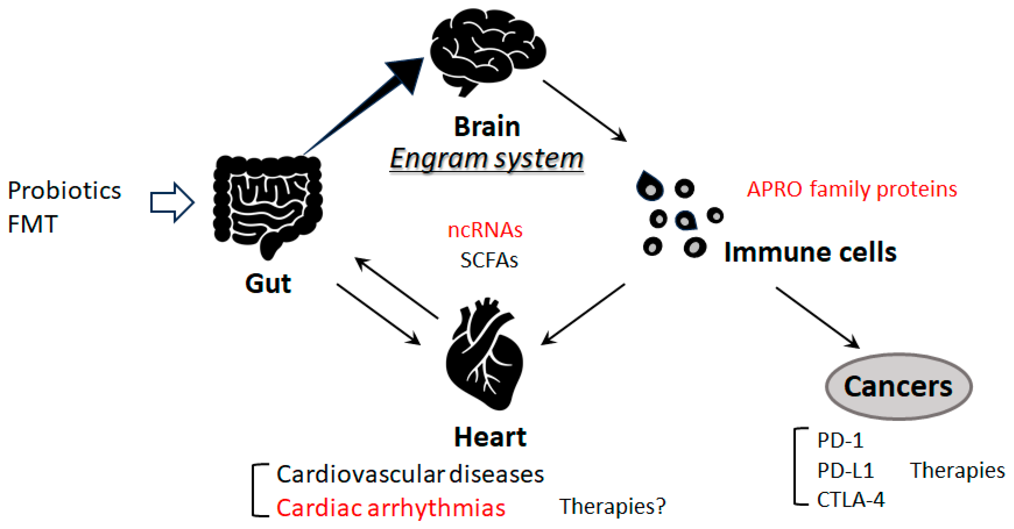 Preprints 80826 g003